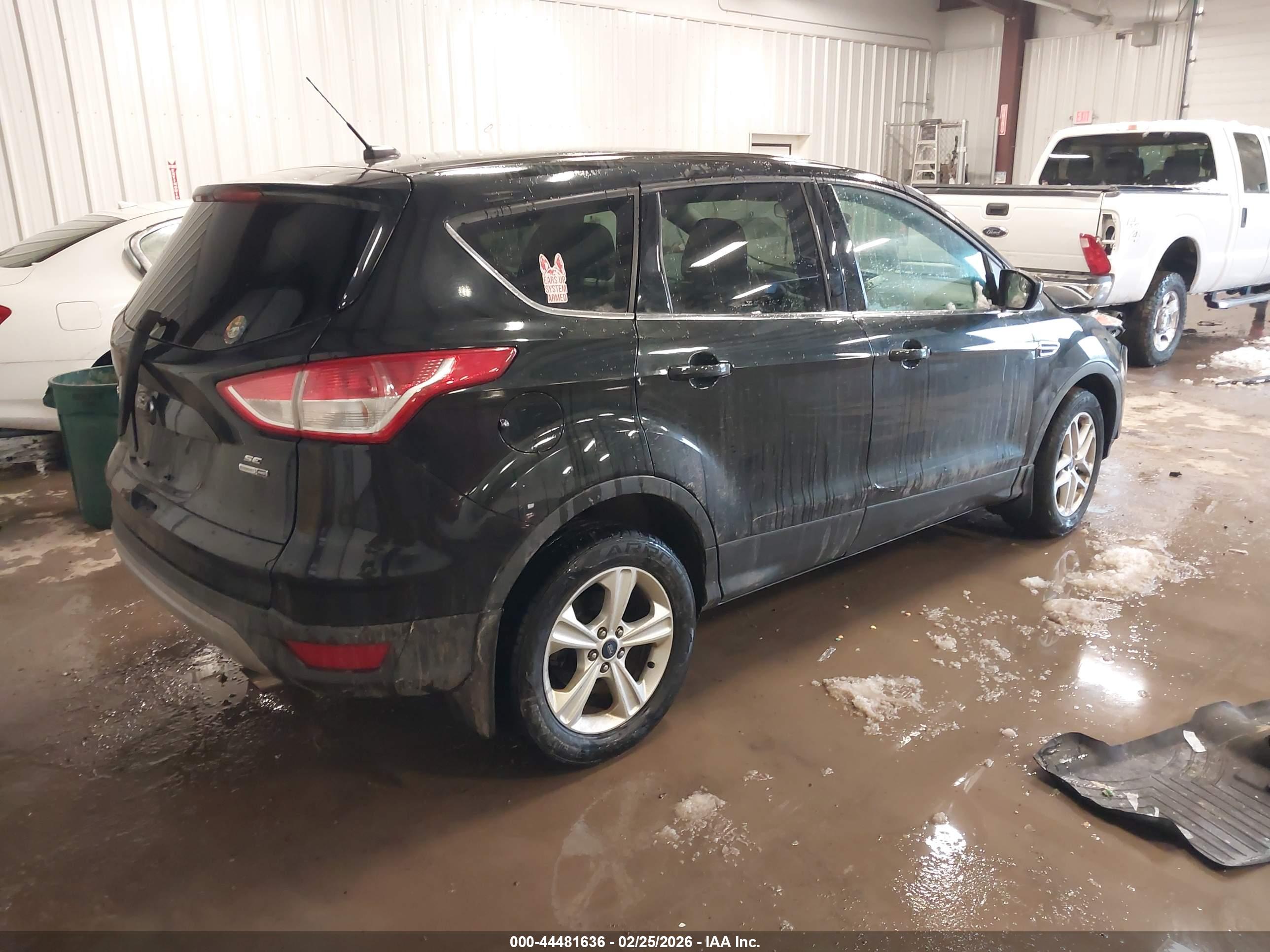 FORD ESCAPE image 4