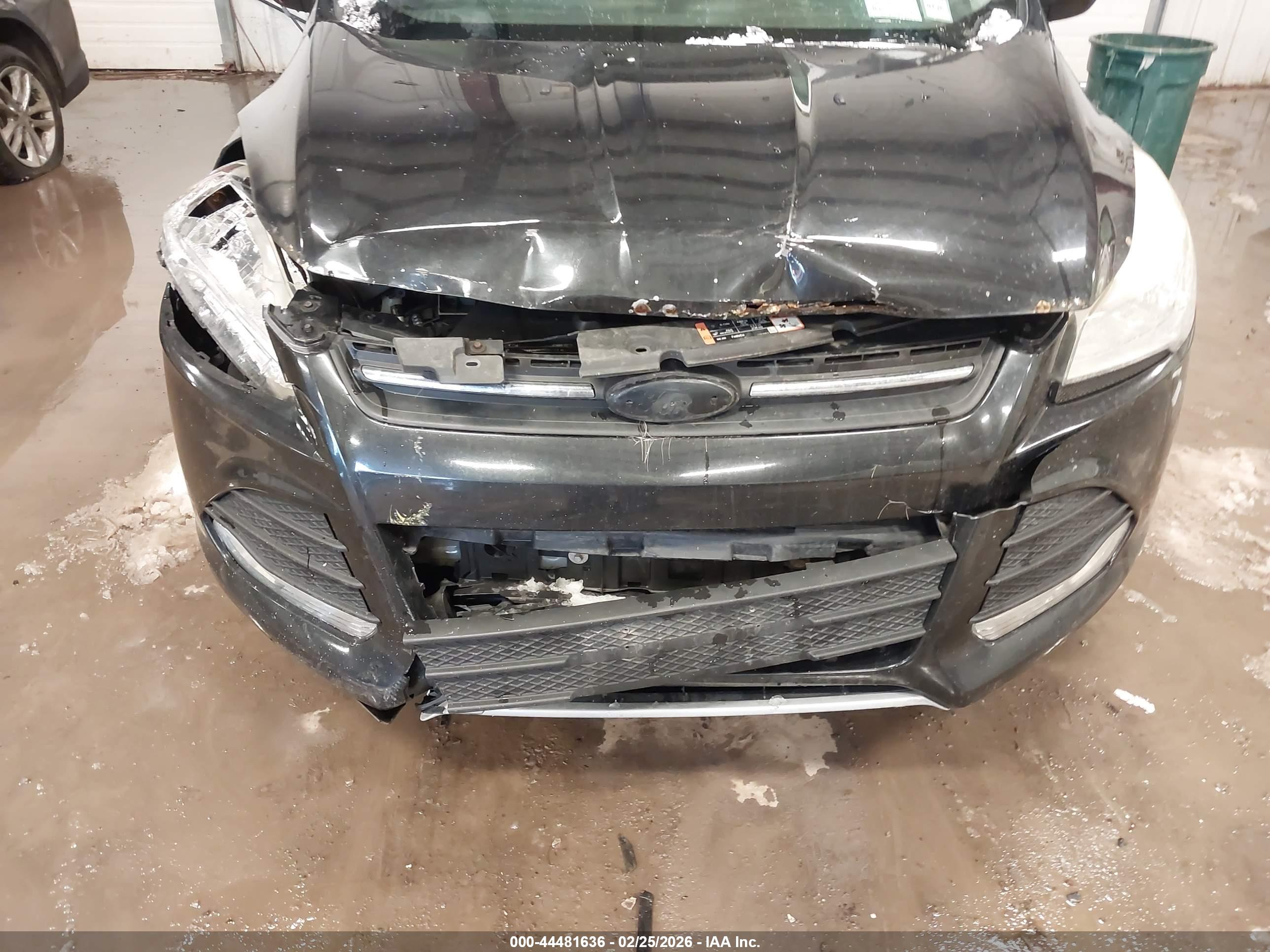 FORD ESCAPE image 6