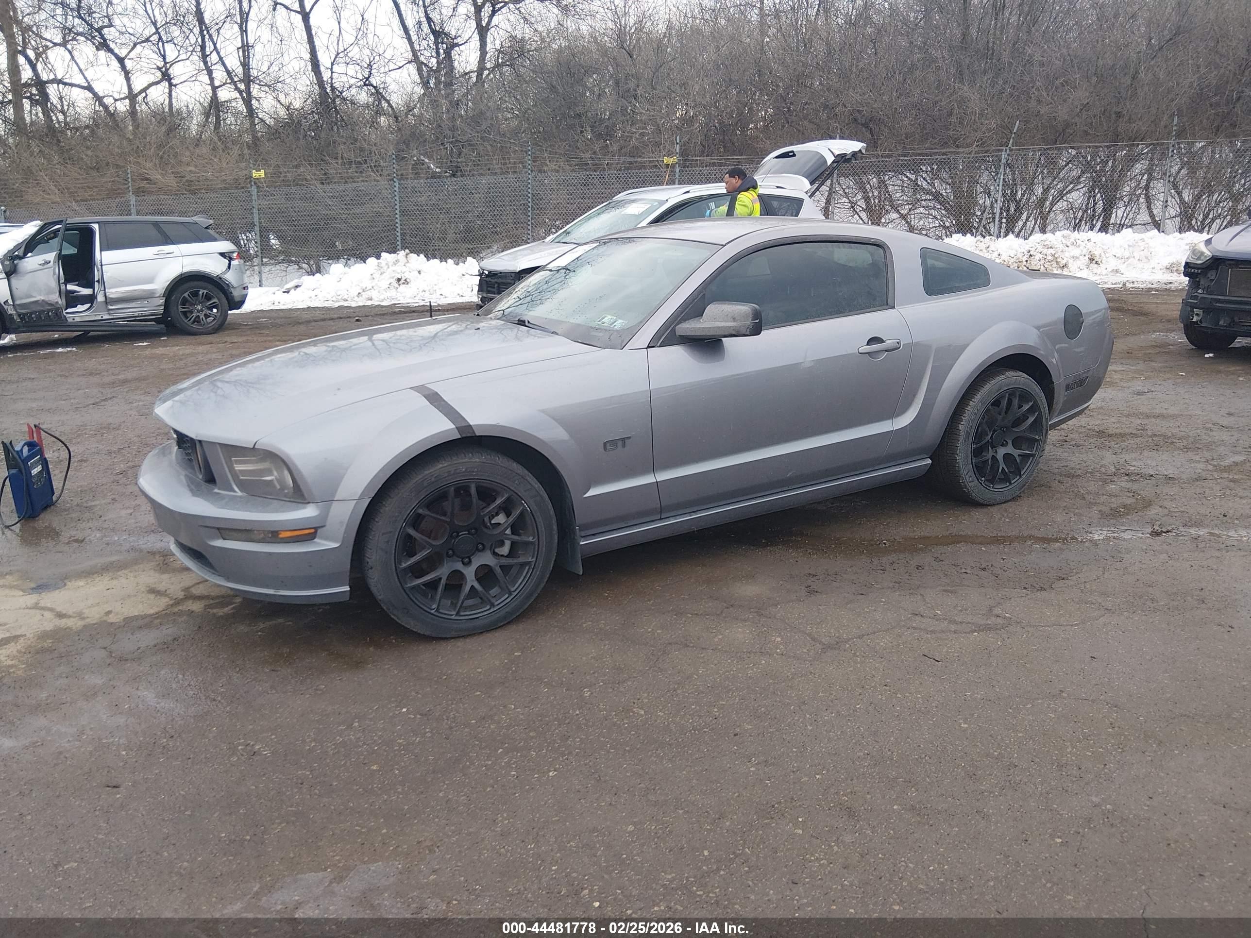 FORD MUSTANG image 2