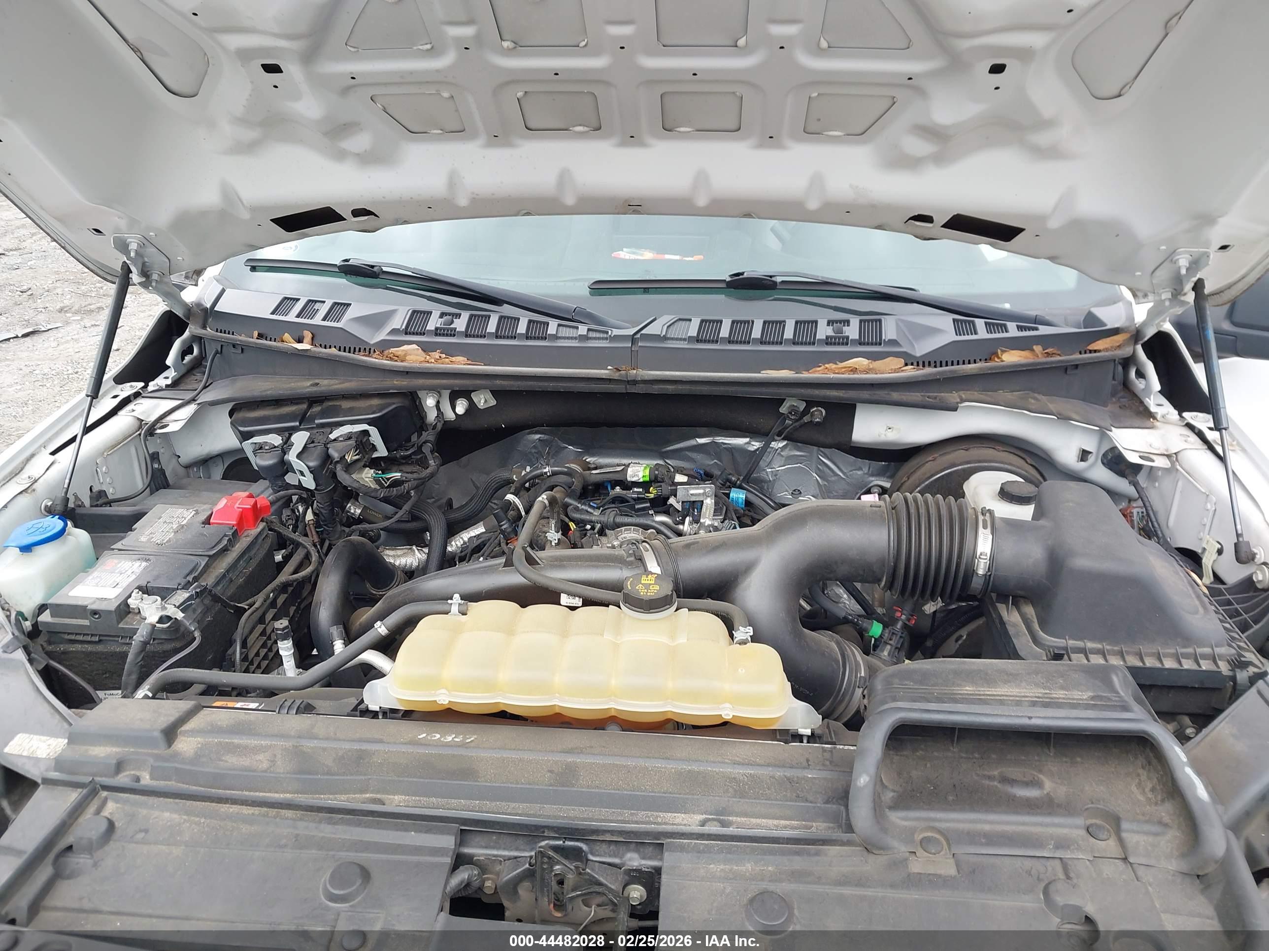 FORD F-150 image 10