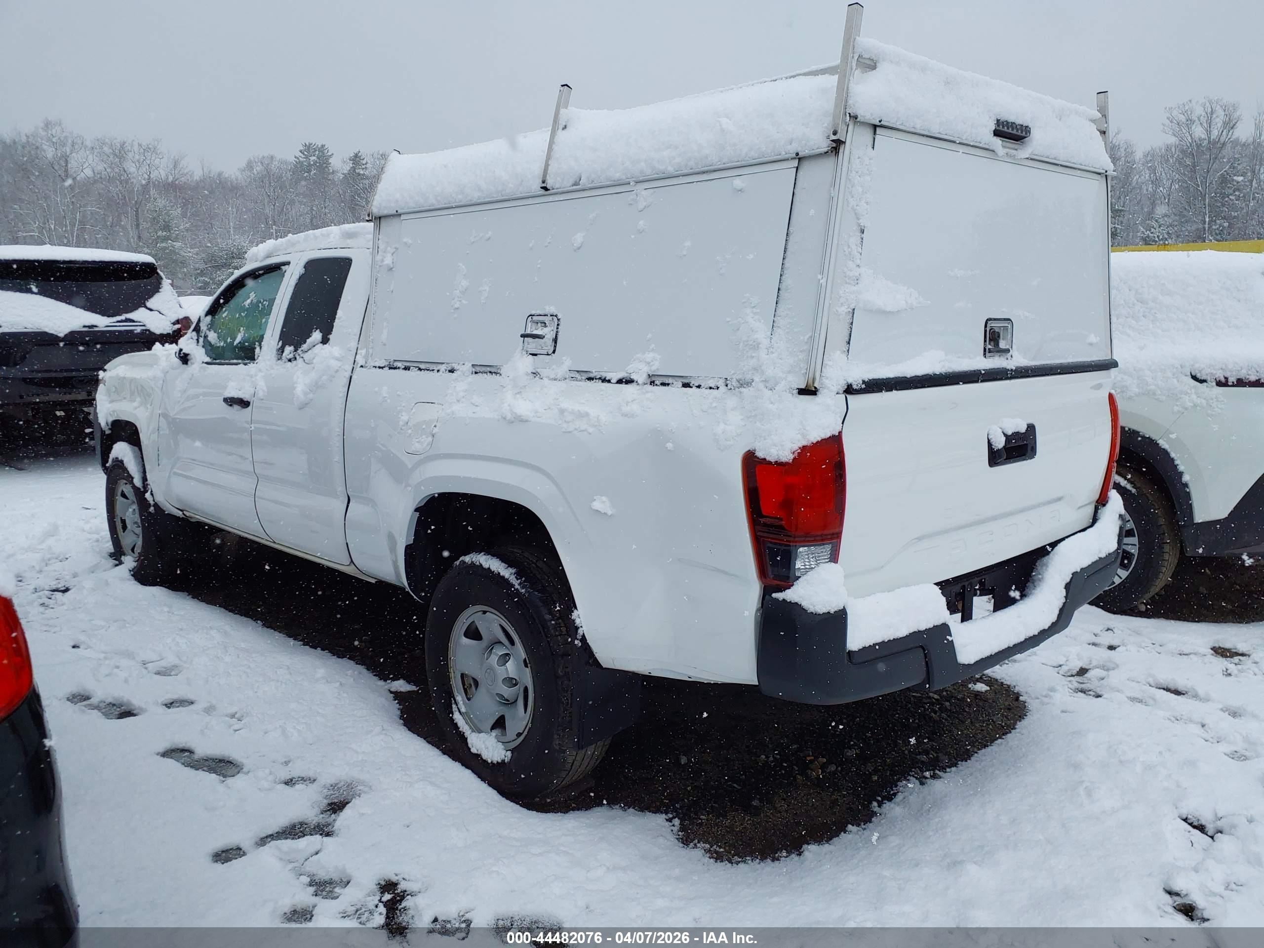 TOYOTA TACOMA image 3