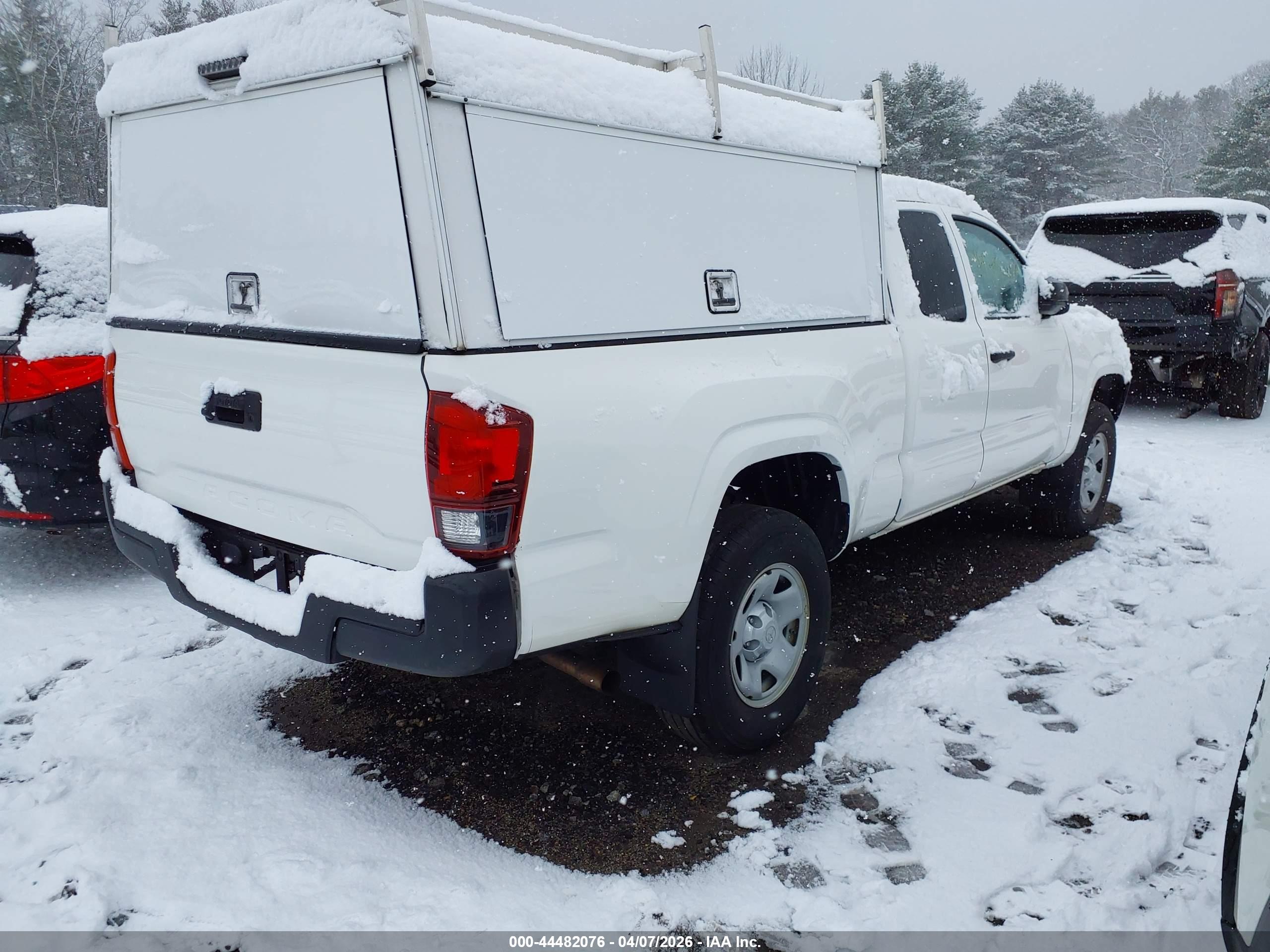 TOYOTA TACOMA image 4