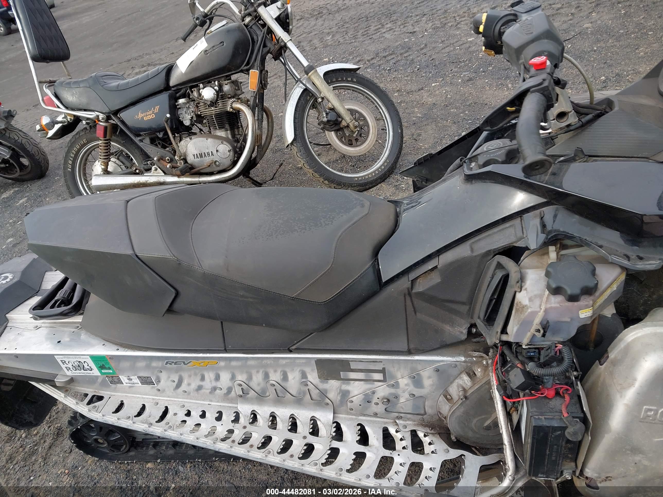 SKID MXZ image 5