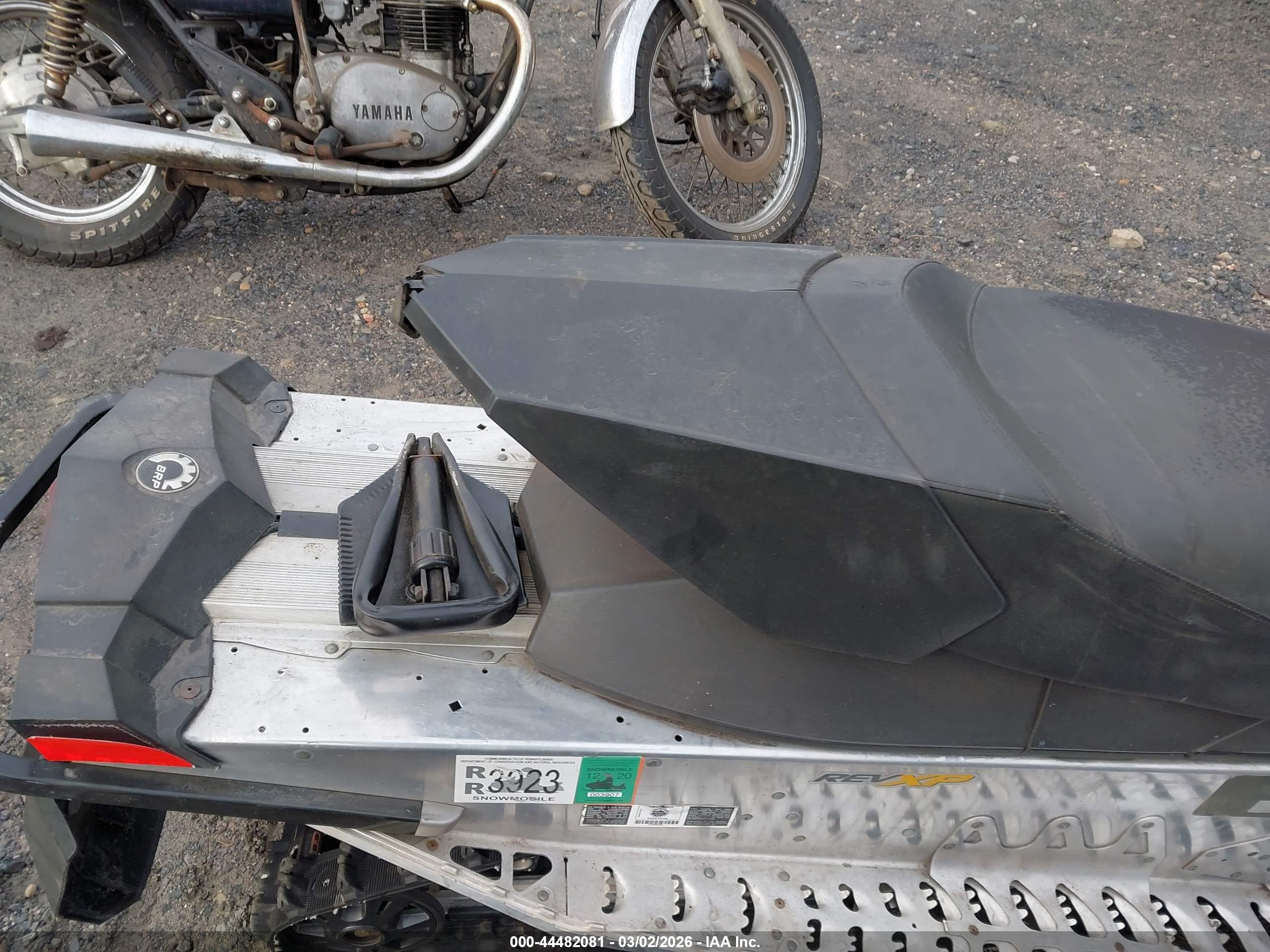 SKID MXZ image 8