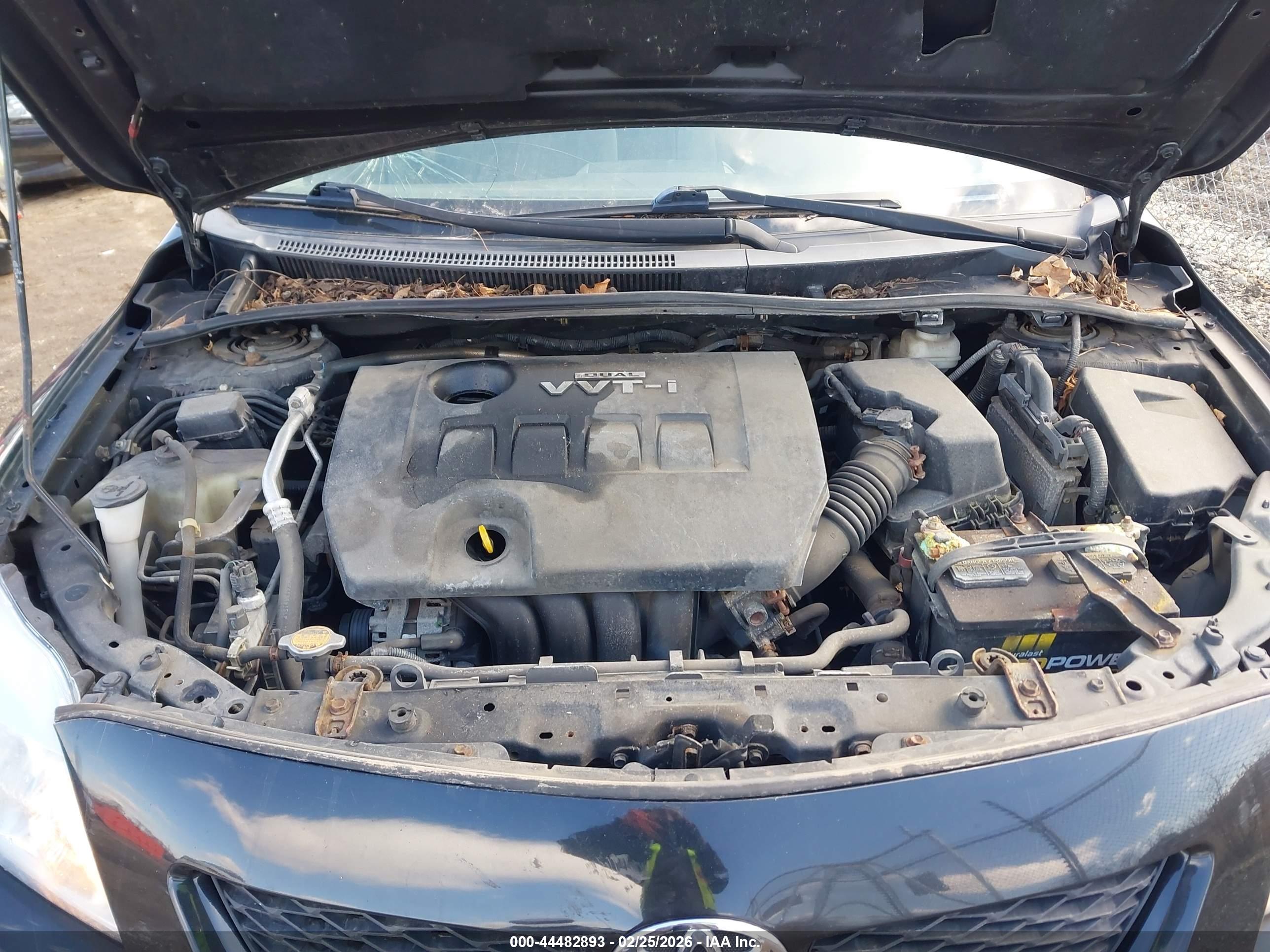 TOYOTA COROLLA image 10