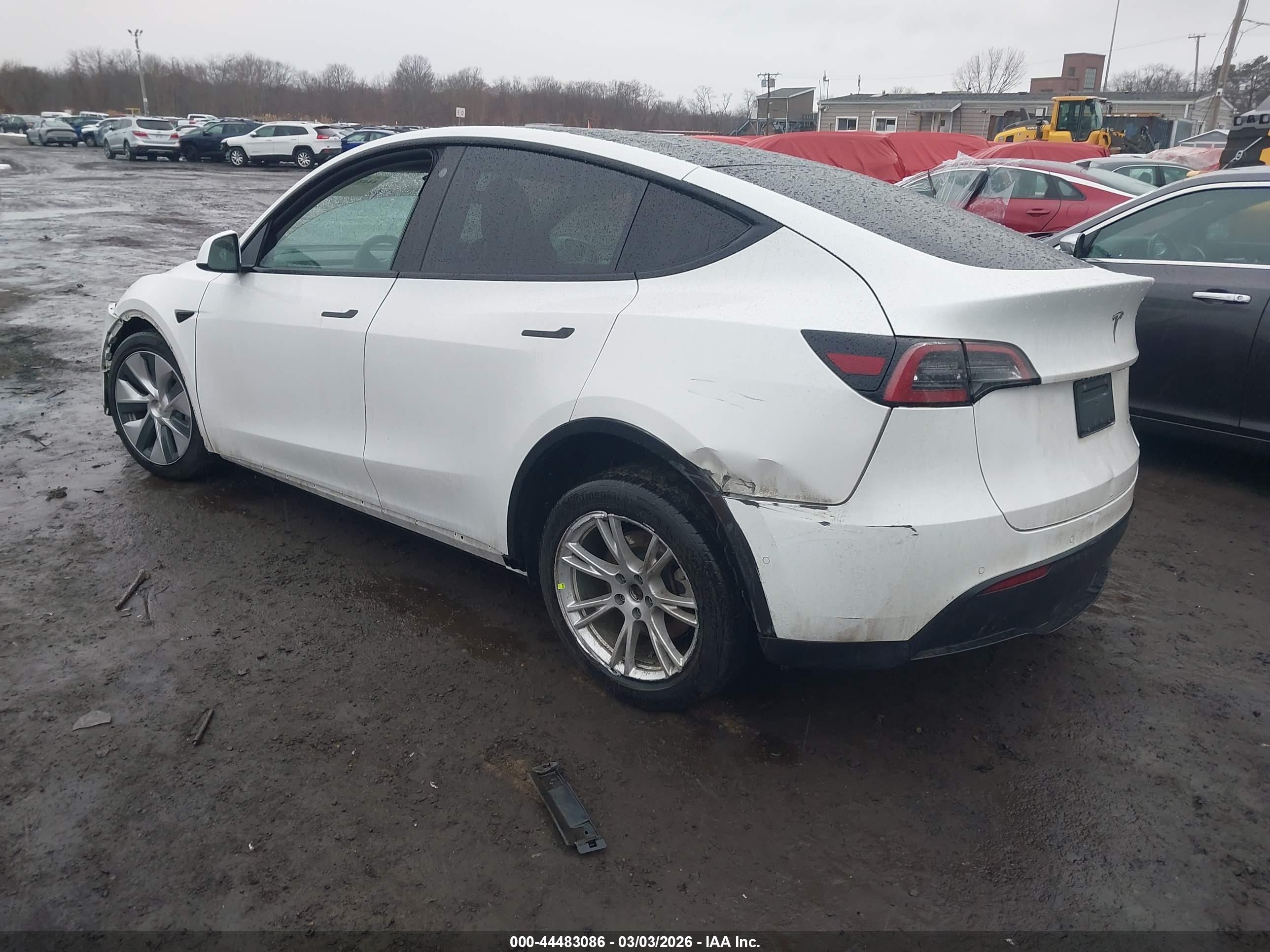 TESLA MODEL image 3