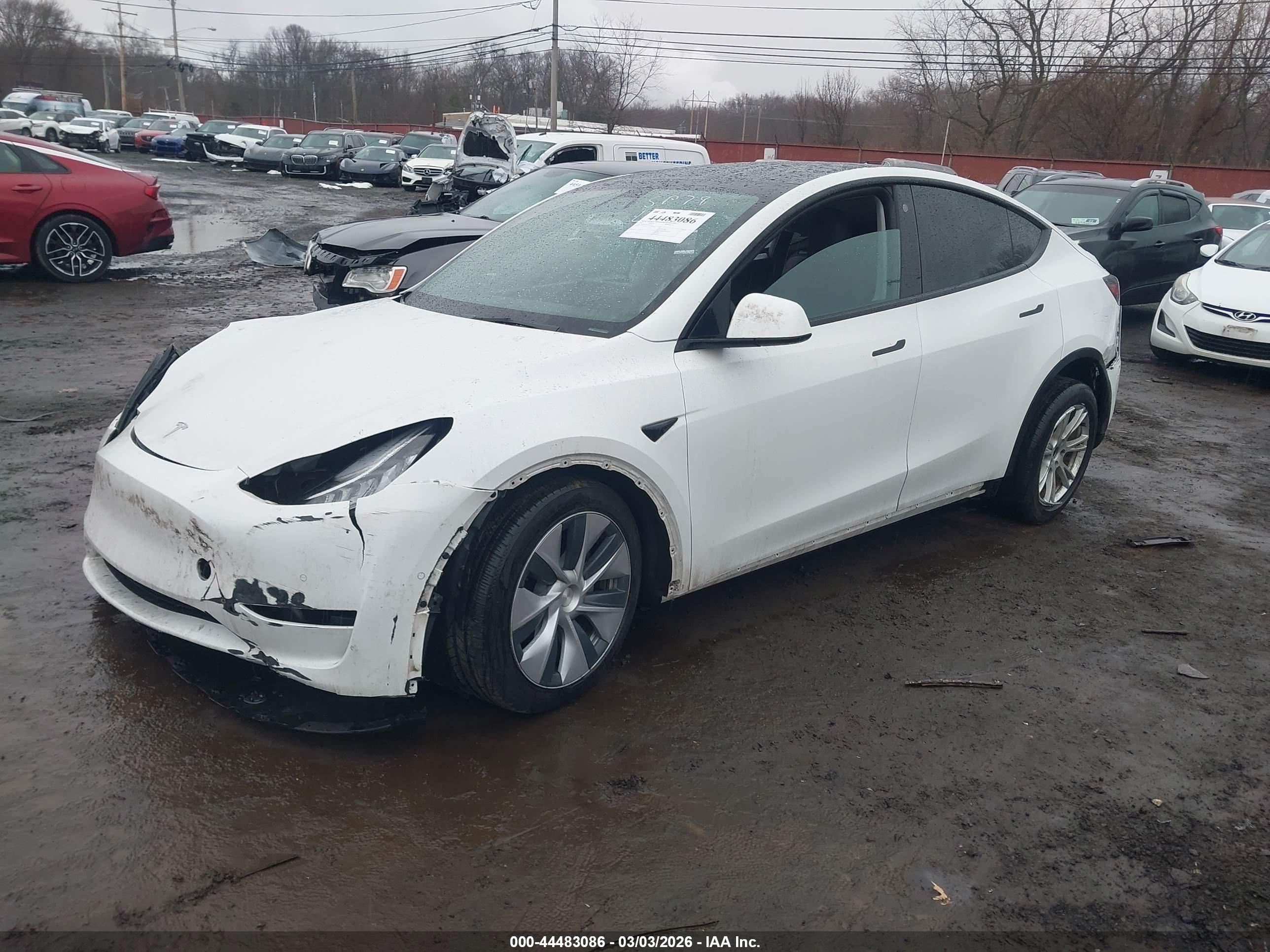 TESLA MODEL image 6