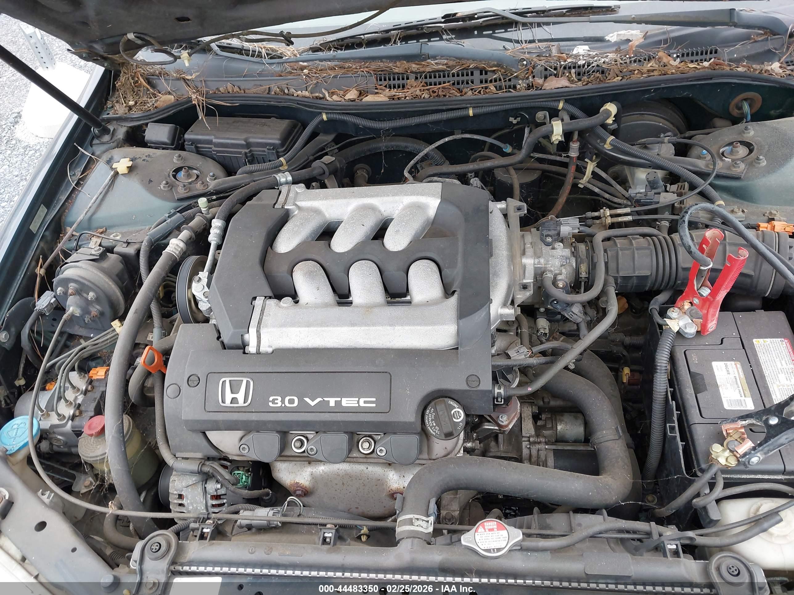 HONDA ACCORD image 10