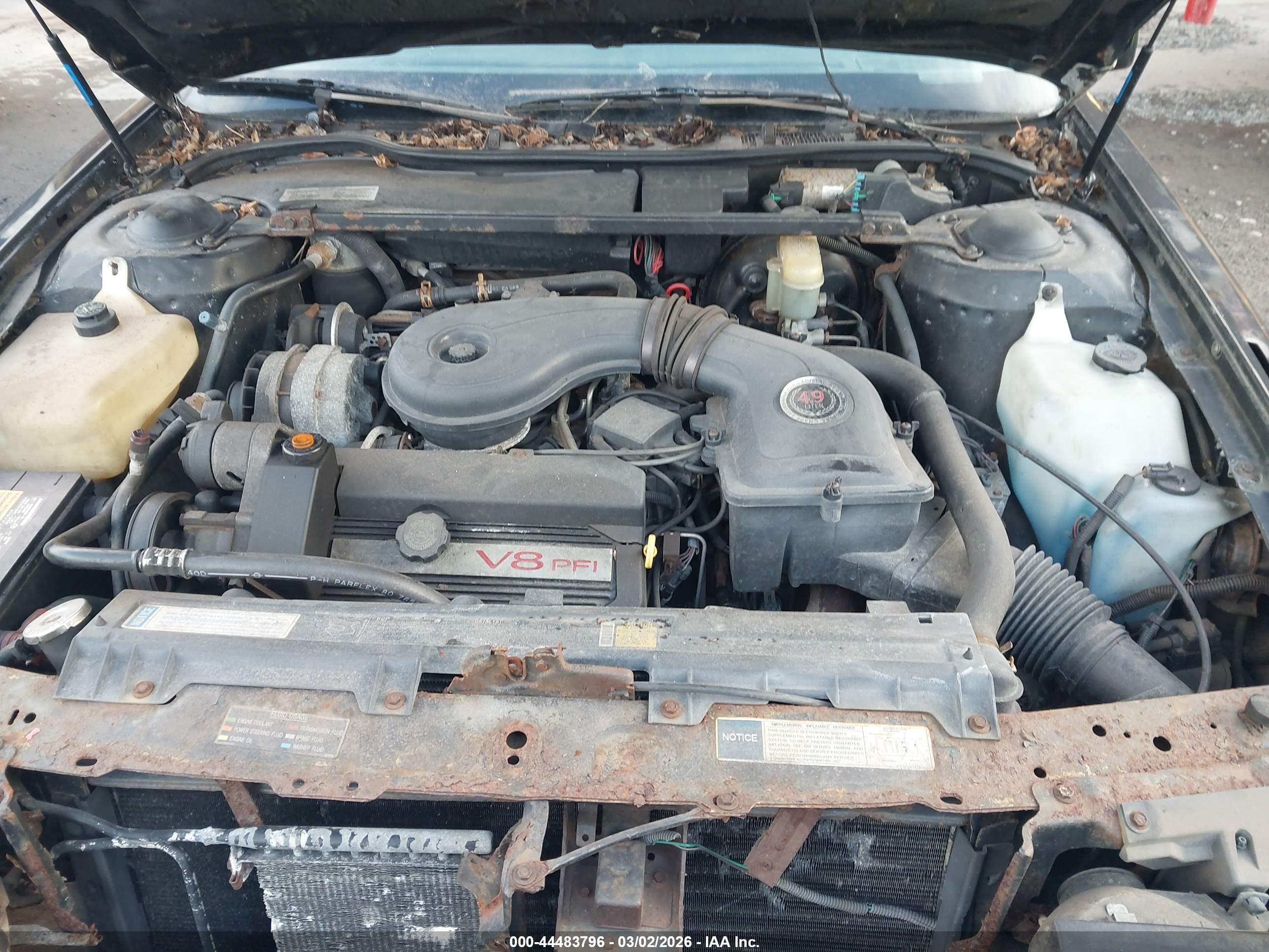 CADILLAC DEVILLE image 10