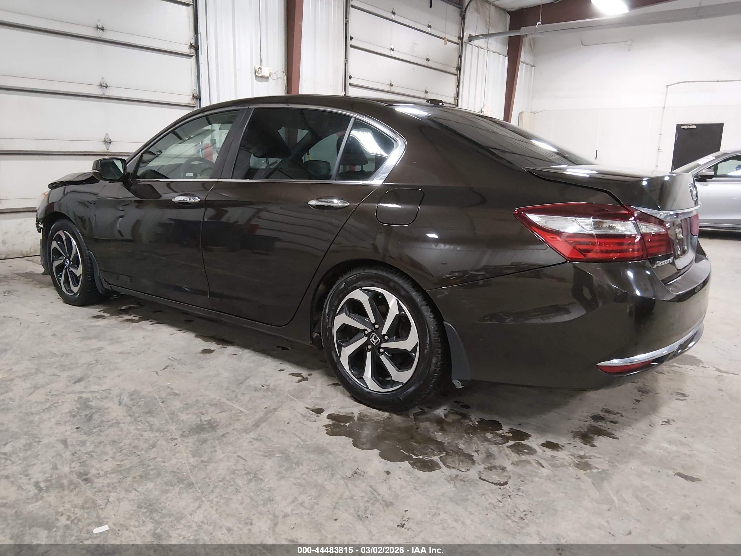 HONDA ACCORD image 3