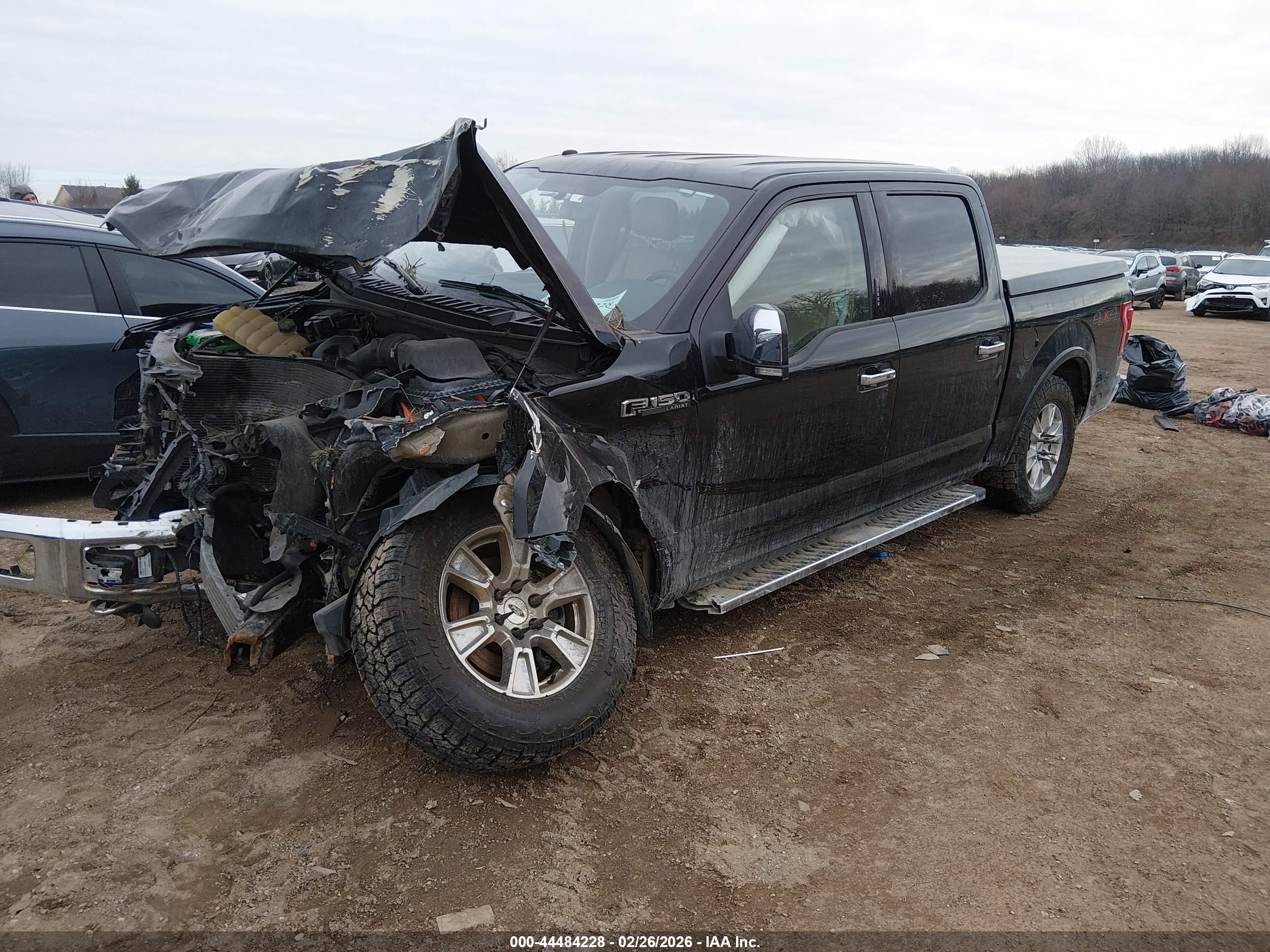 FORD F-150 image 2