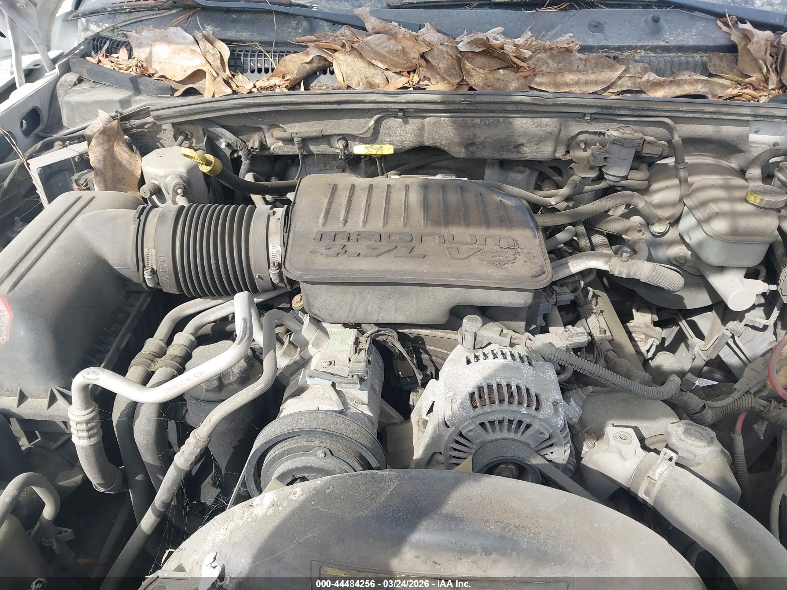 DODGE DAKOTA image 10