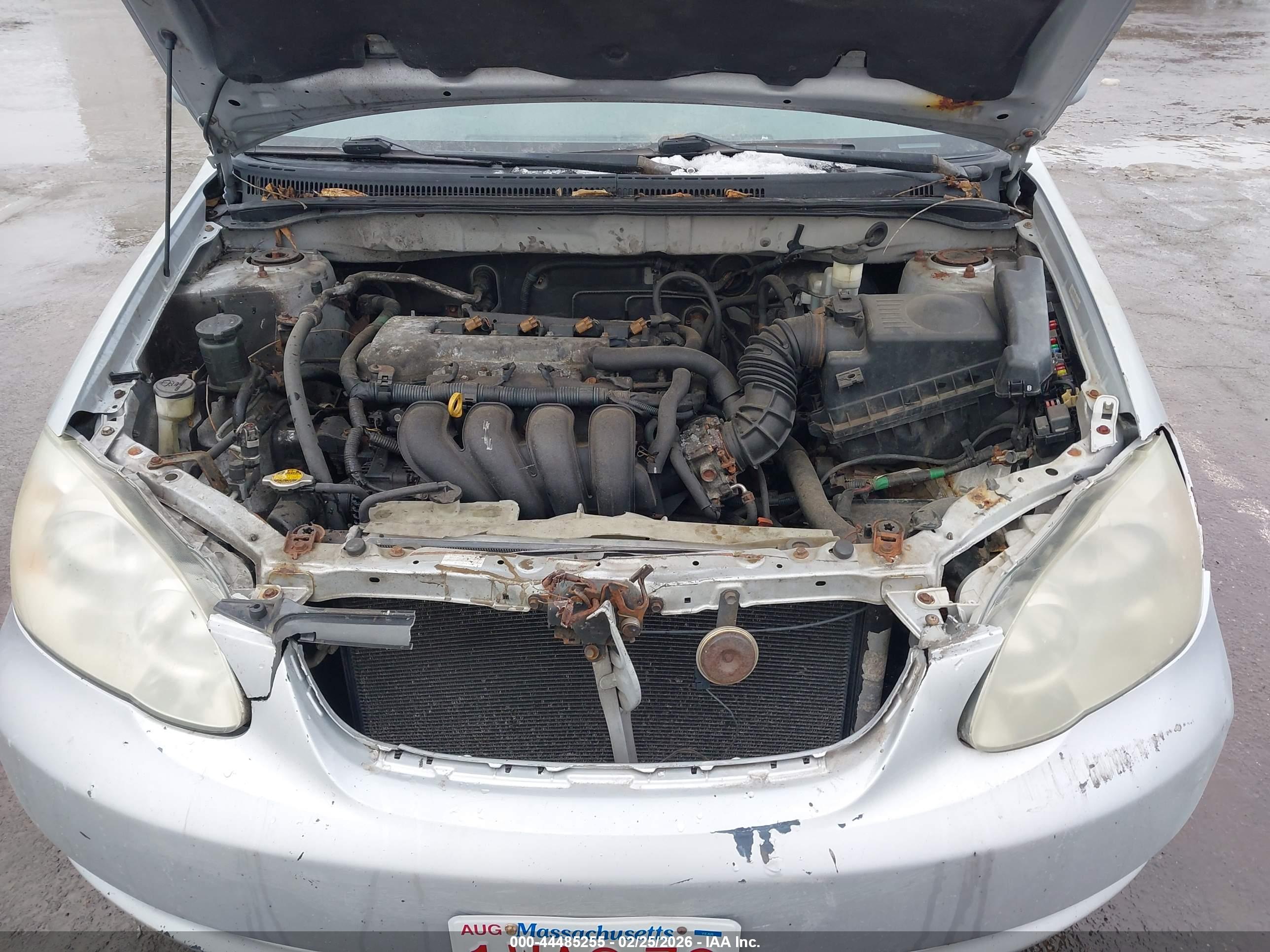 TOYOTA COROLLA image 10
