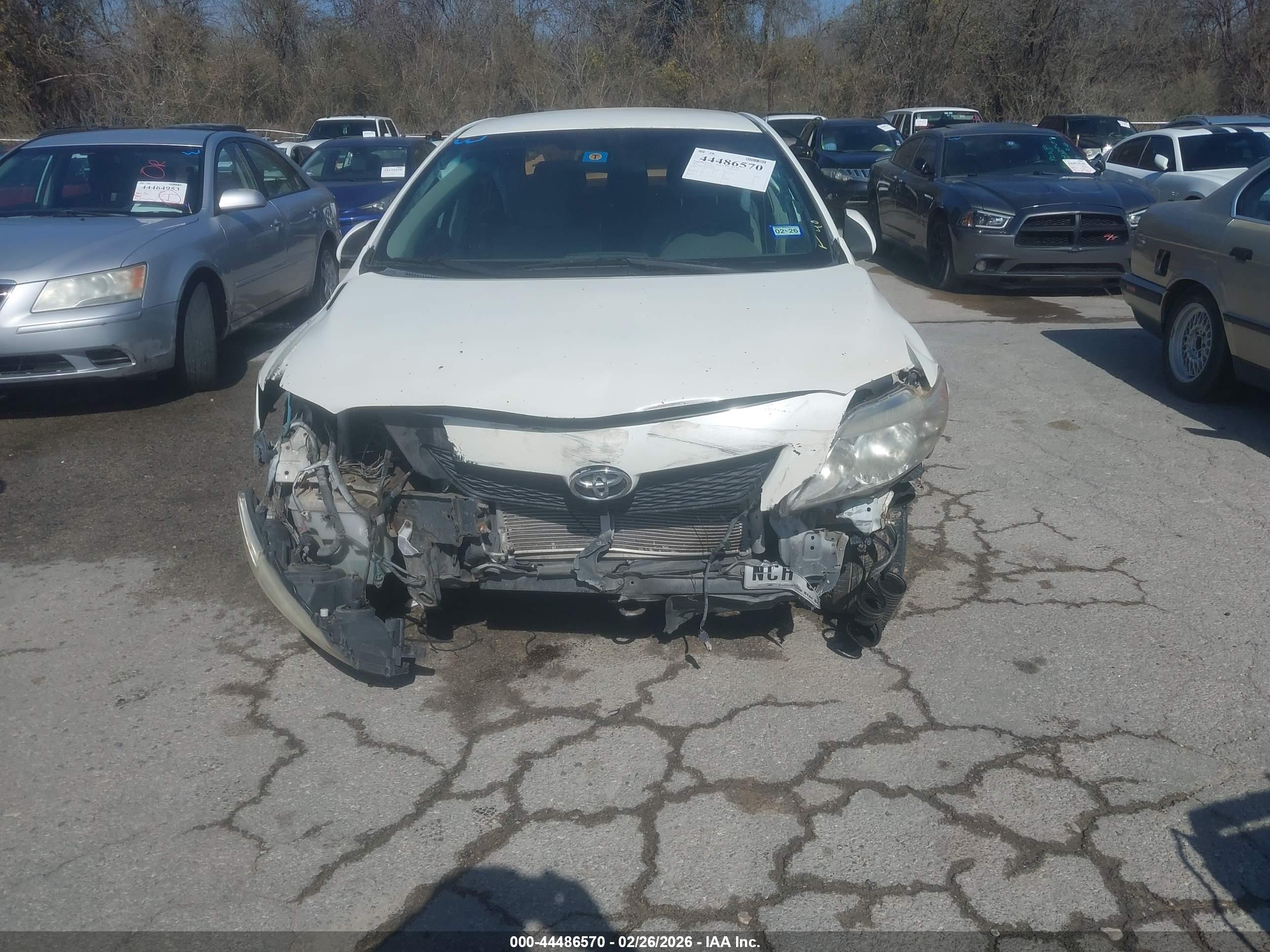 TOYOTA COROLLA image 6