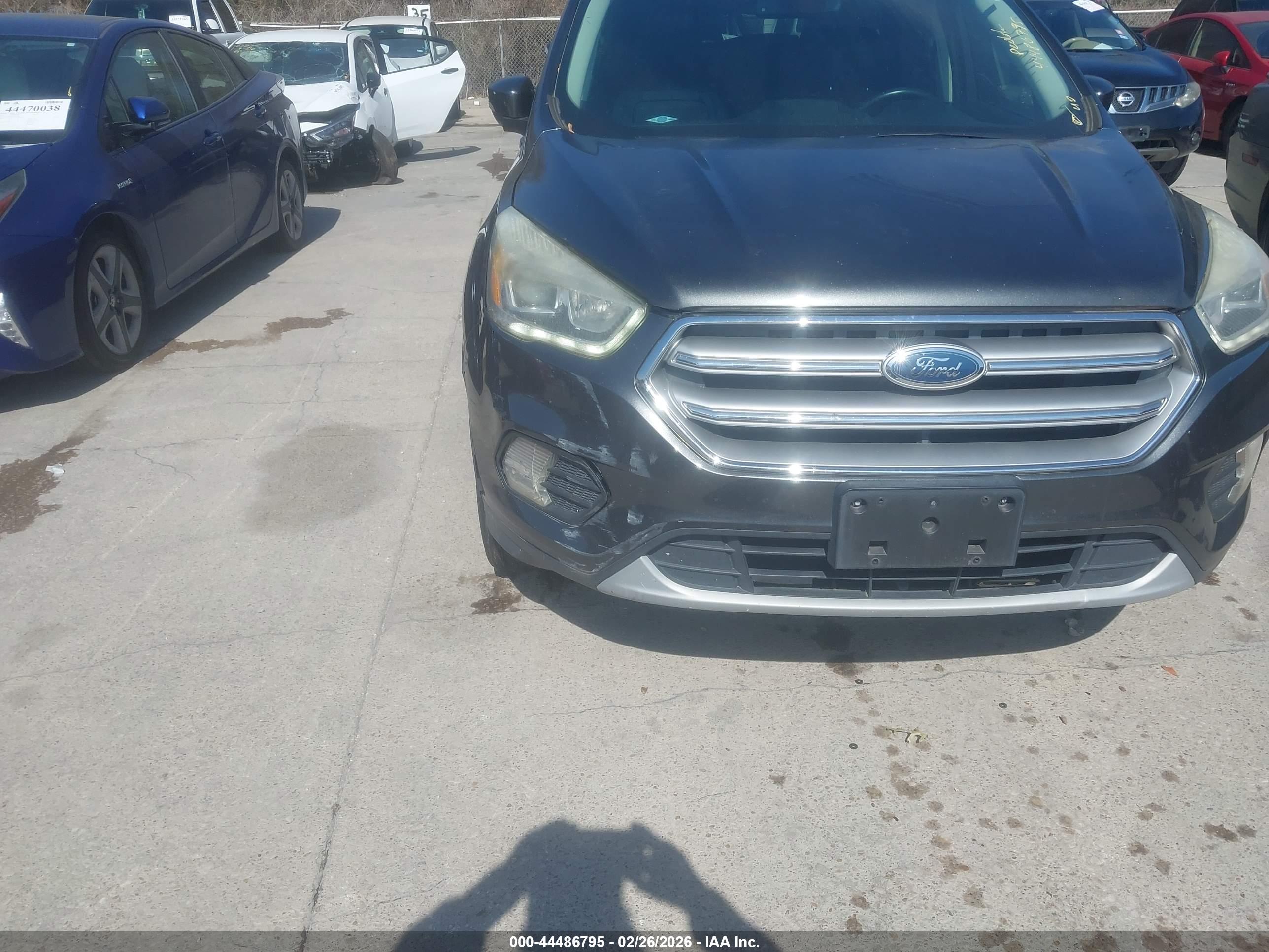 FORD ESCAPE image 6