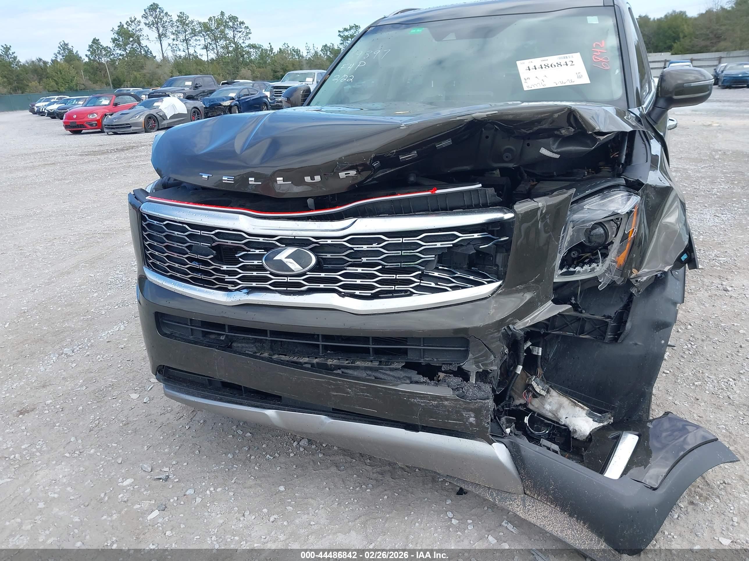 KIA TELLURIDE image 6