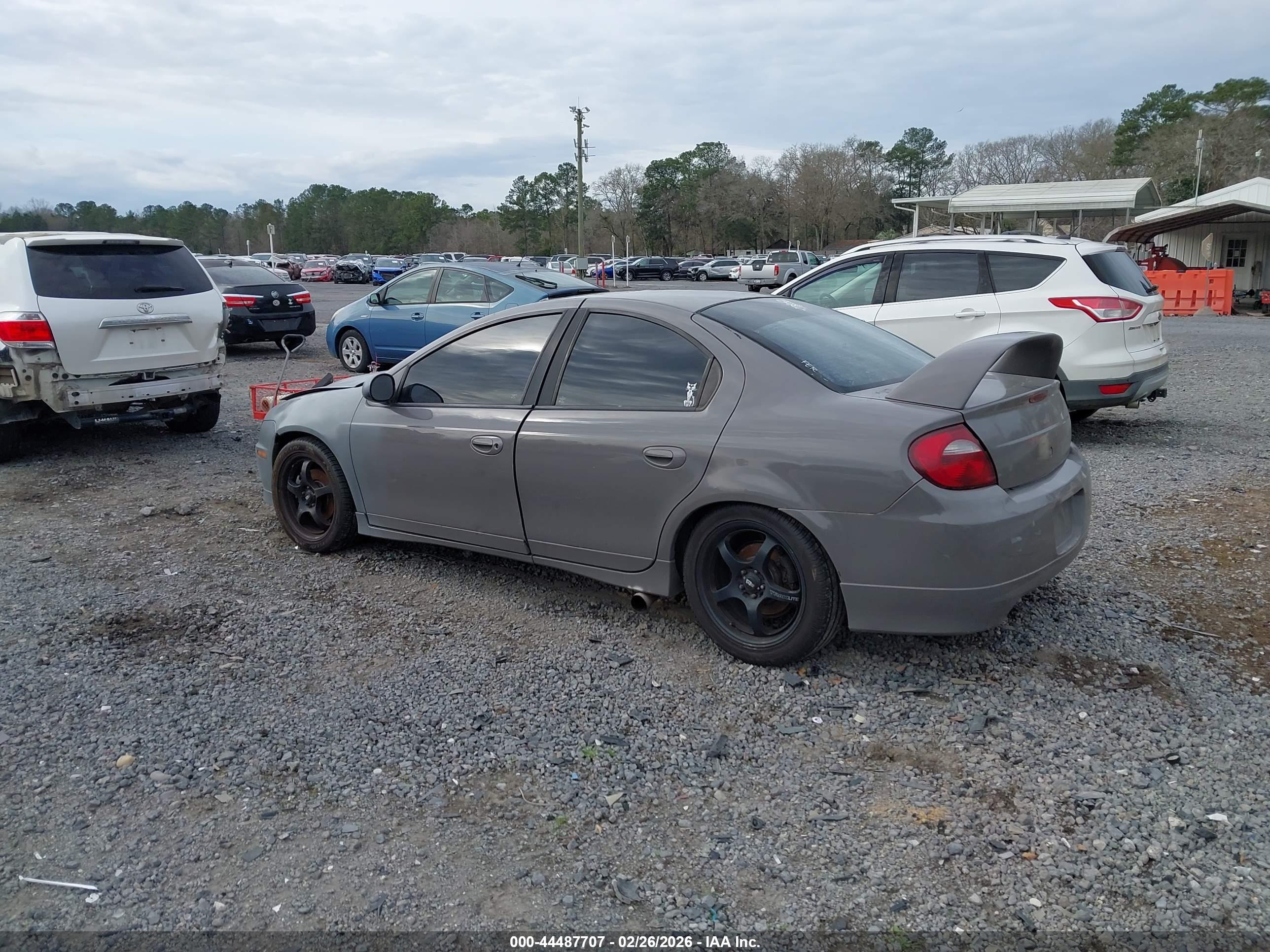 DODGE SRT4 image 3