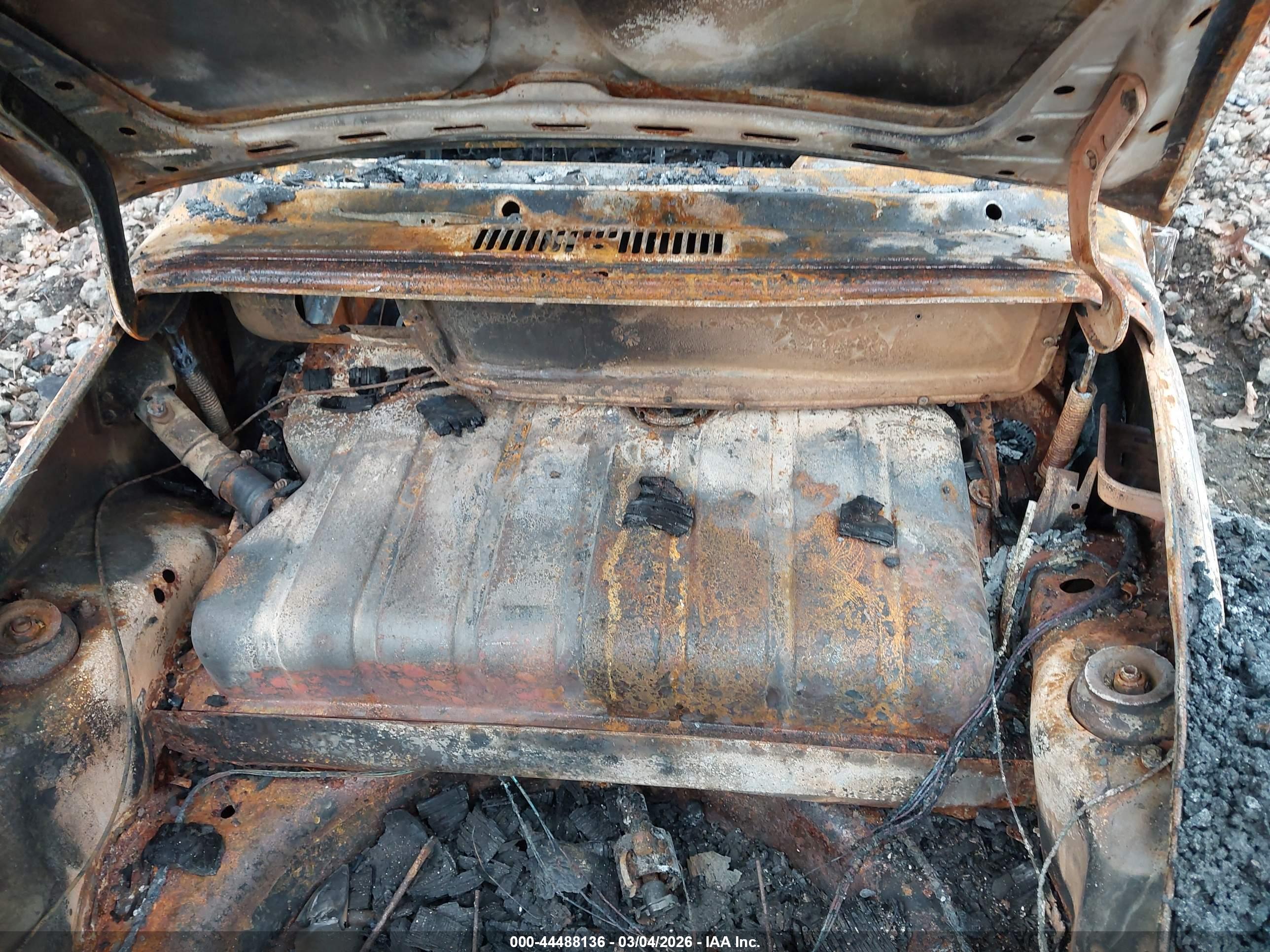 VOLKSWAGEN BEETLE image 10