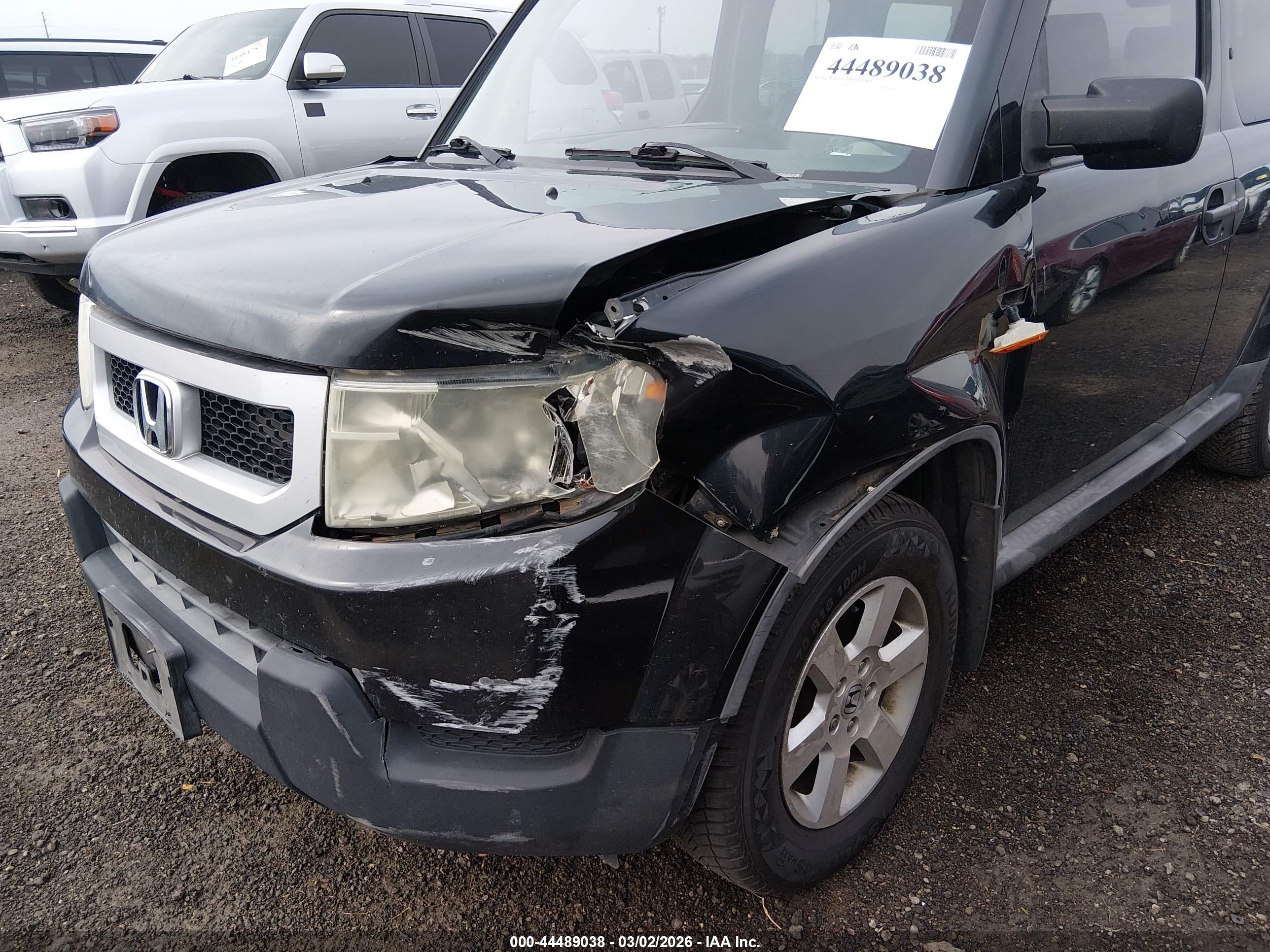 HONDA ELEMENT image 6