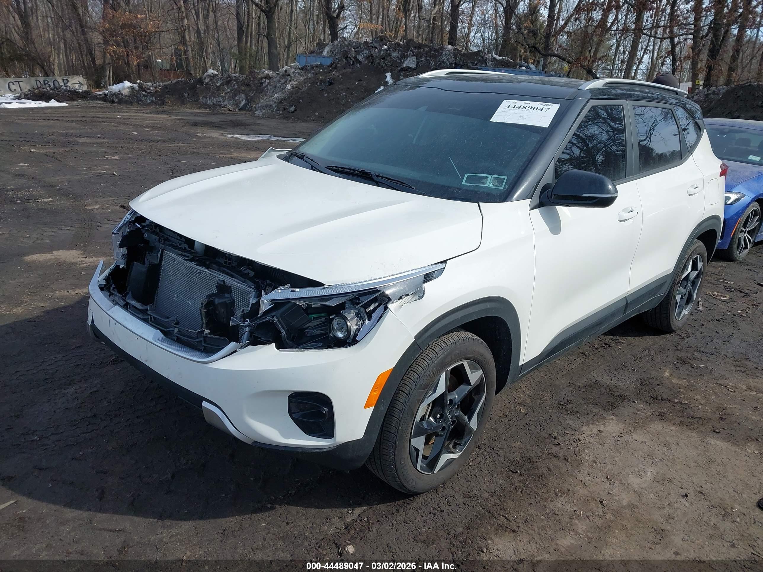 KIA SELTOS image 2