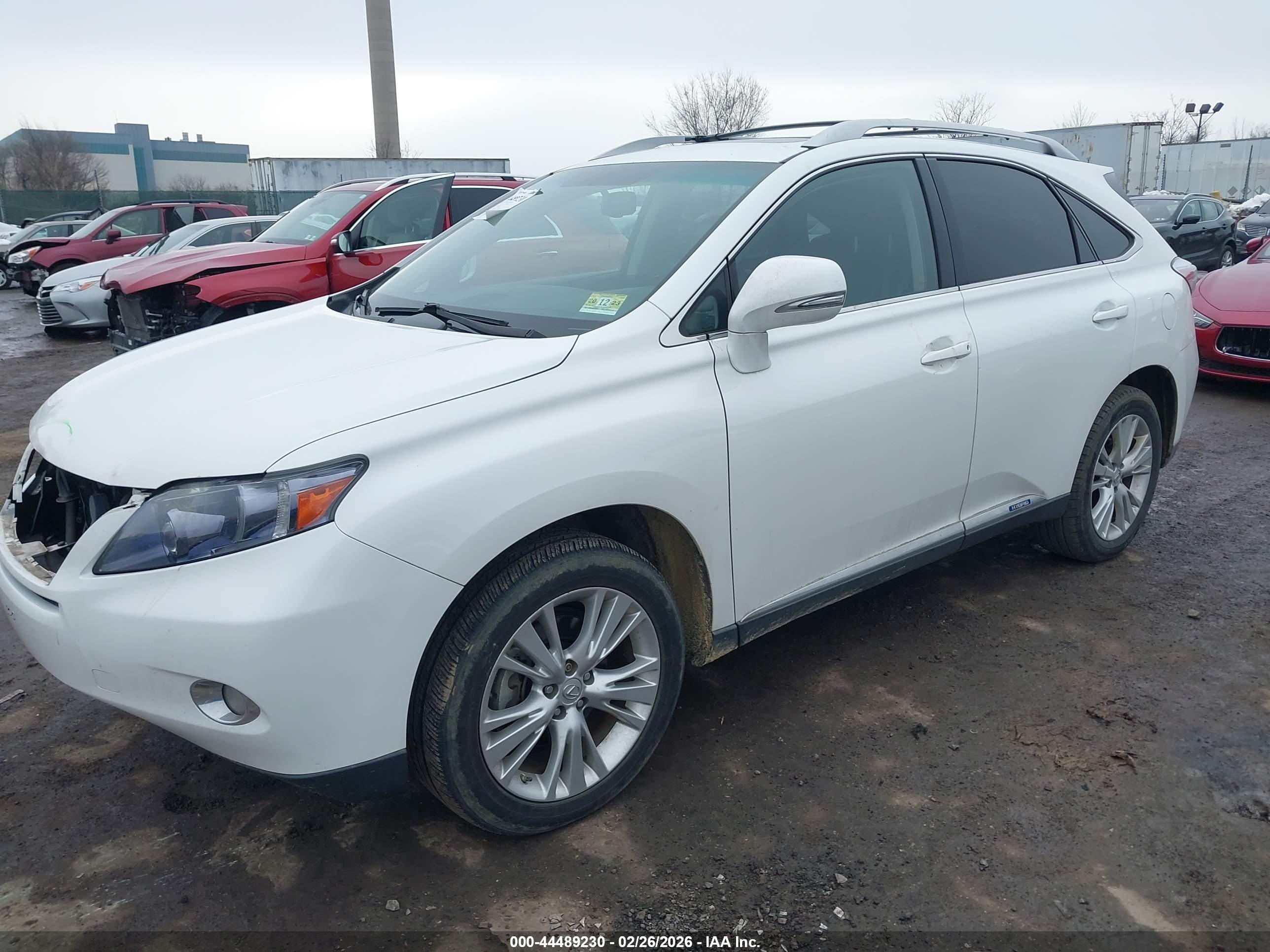 LEXUS RX image 2