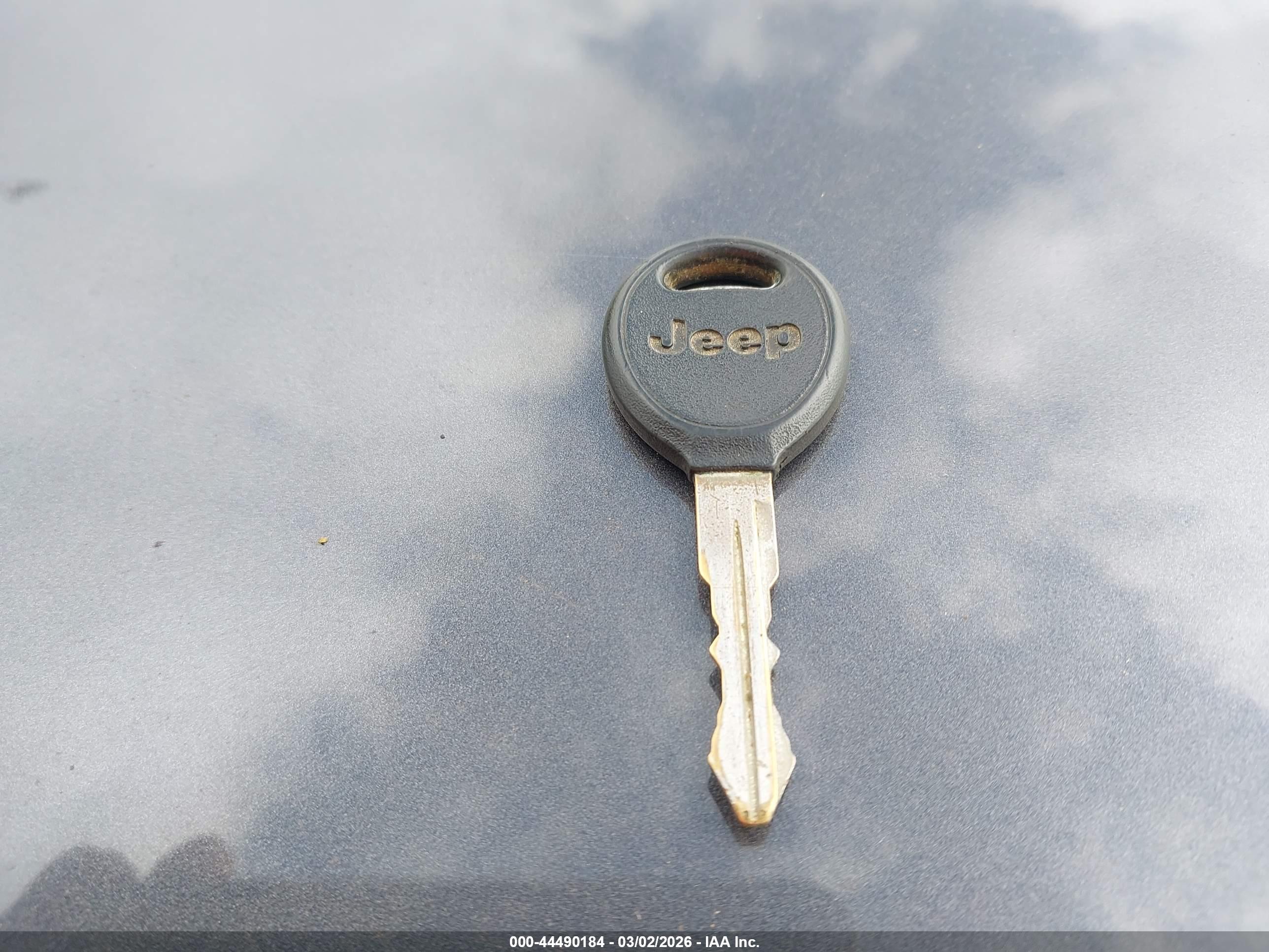 JEEP WRANGLER image 11