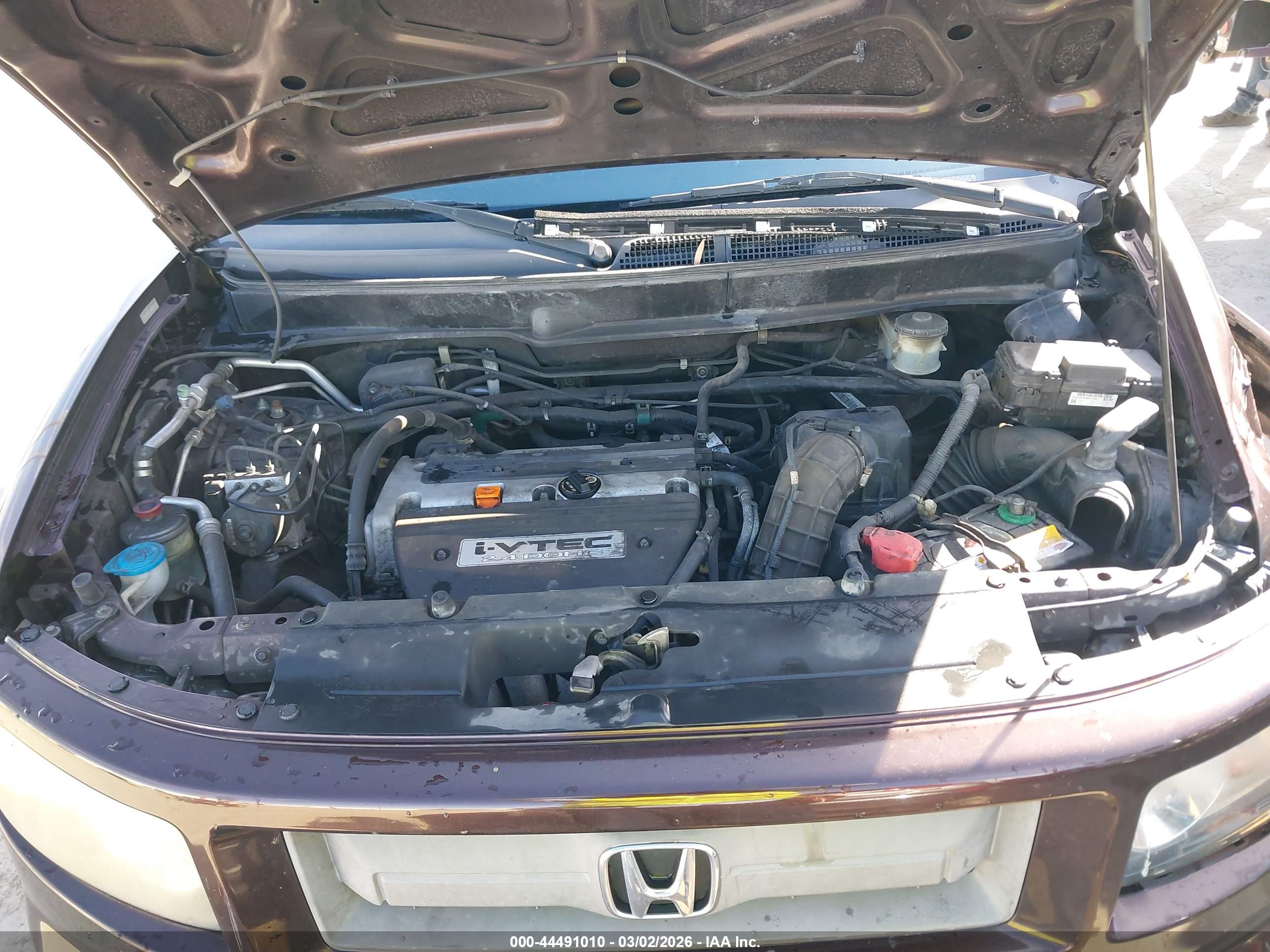 HONDA ELEMENT image 10