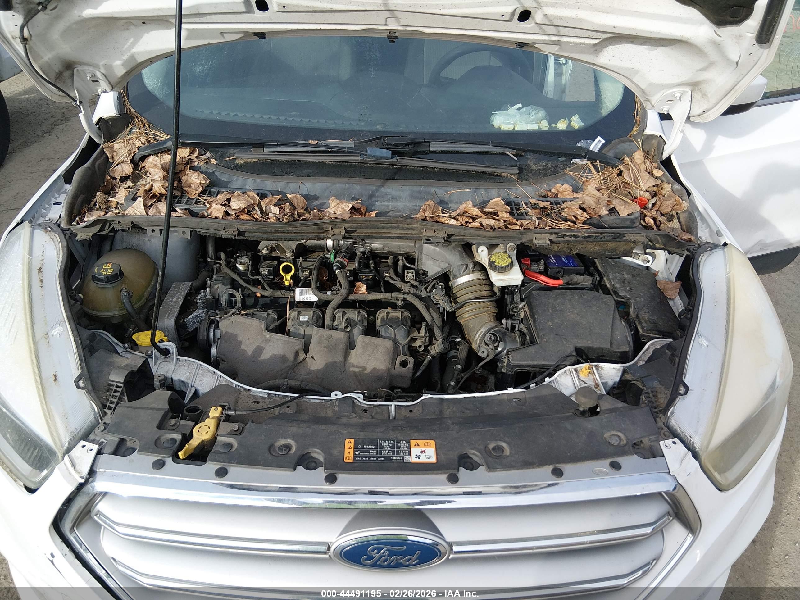 FORD ESCAPE image 10