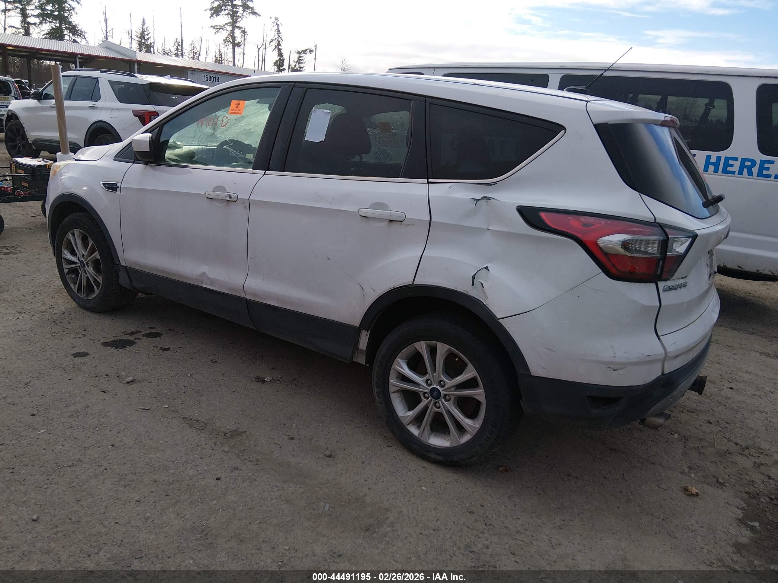 FORD ESCAPE image 3