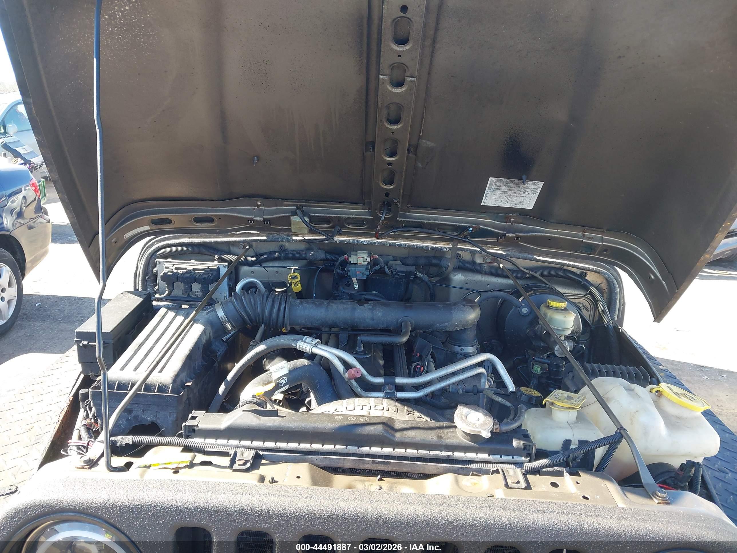 JEEP WRANGLER image 10