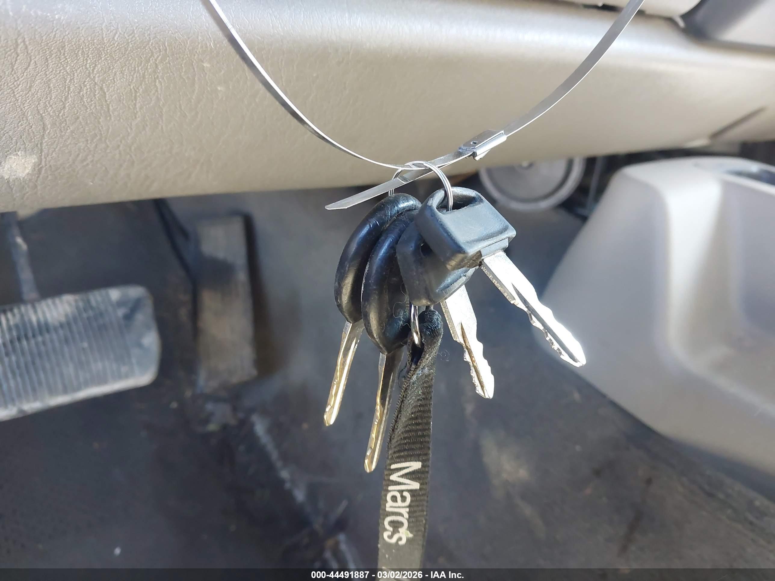 JEEP WRANGLER image 11