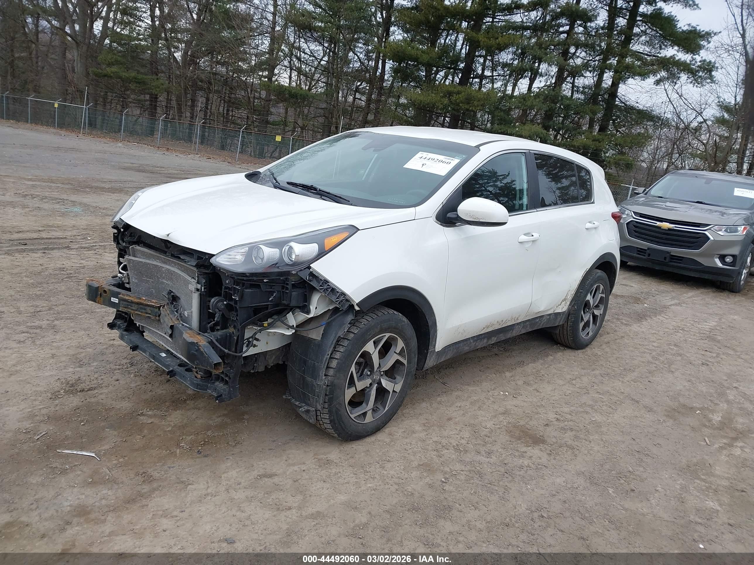 KIA SPORTAGE image 2