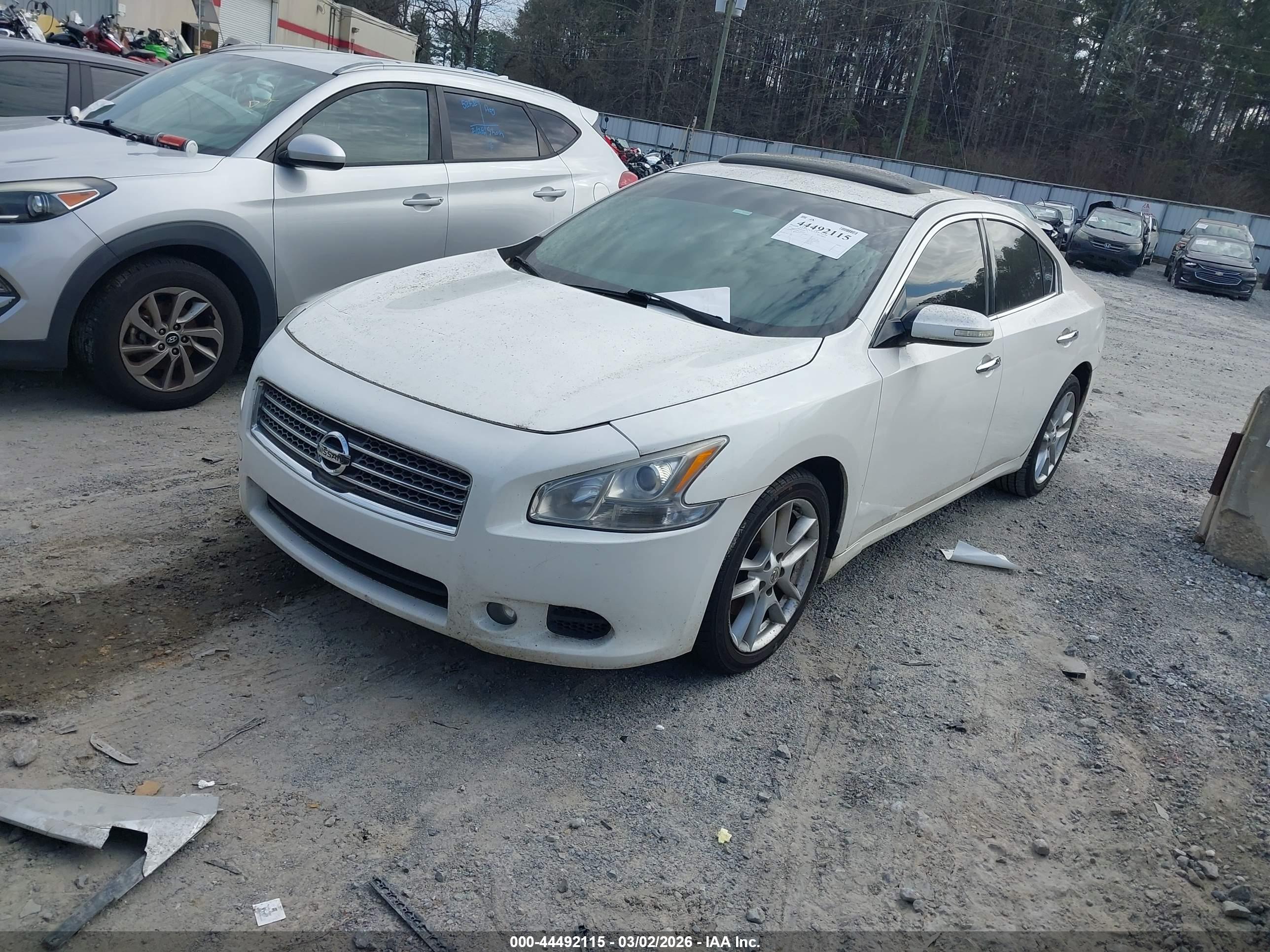 NISSAN MAXIMA image 2