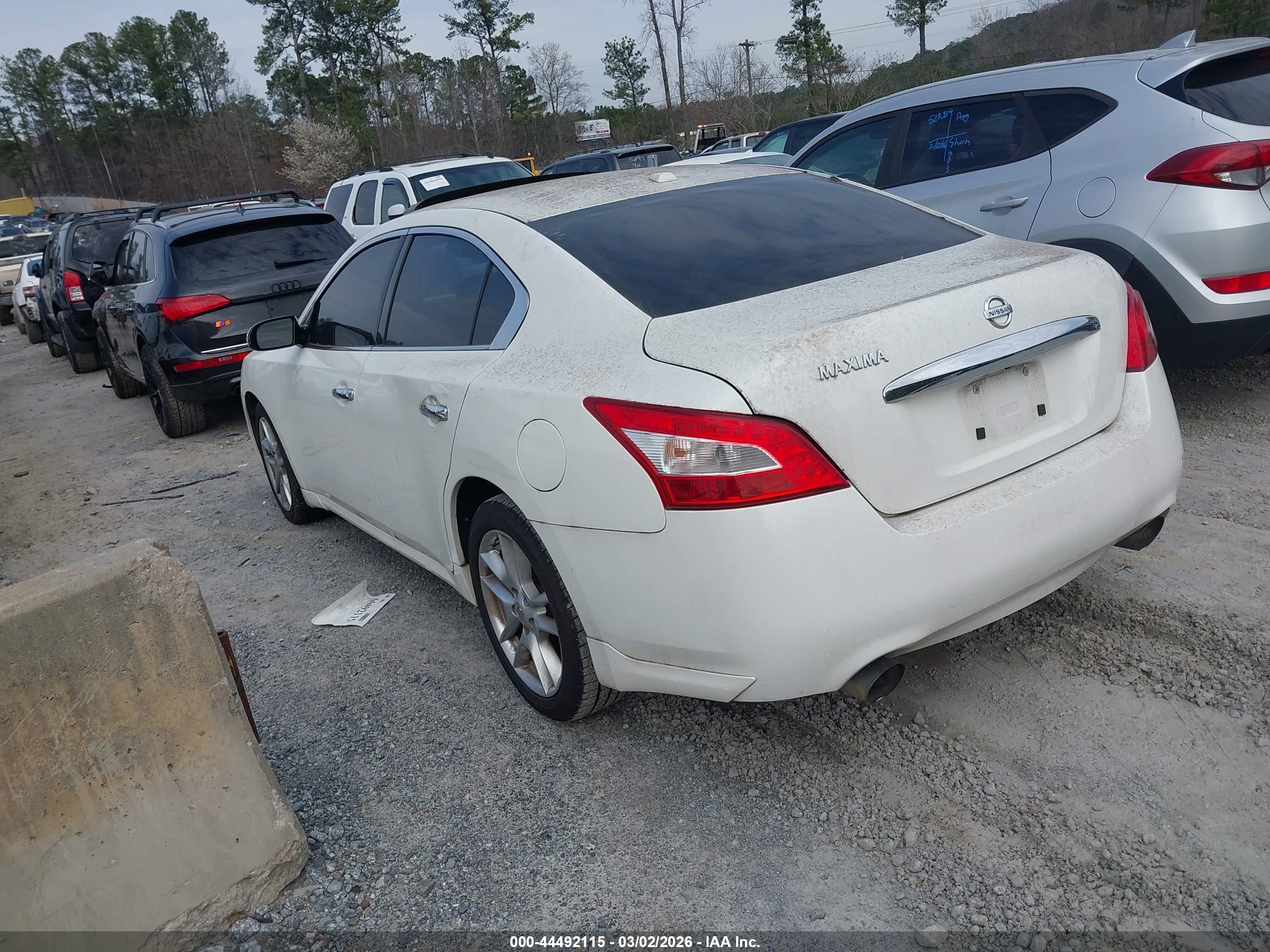 NISSAN MAXIMA image 3