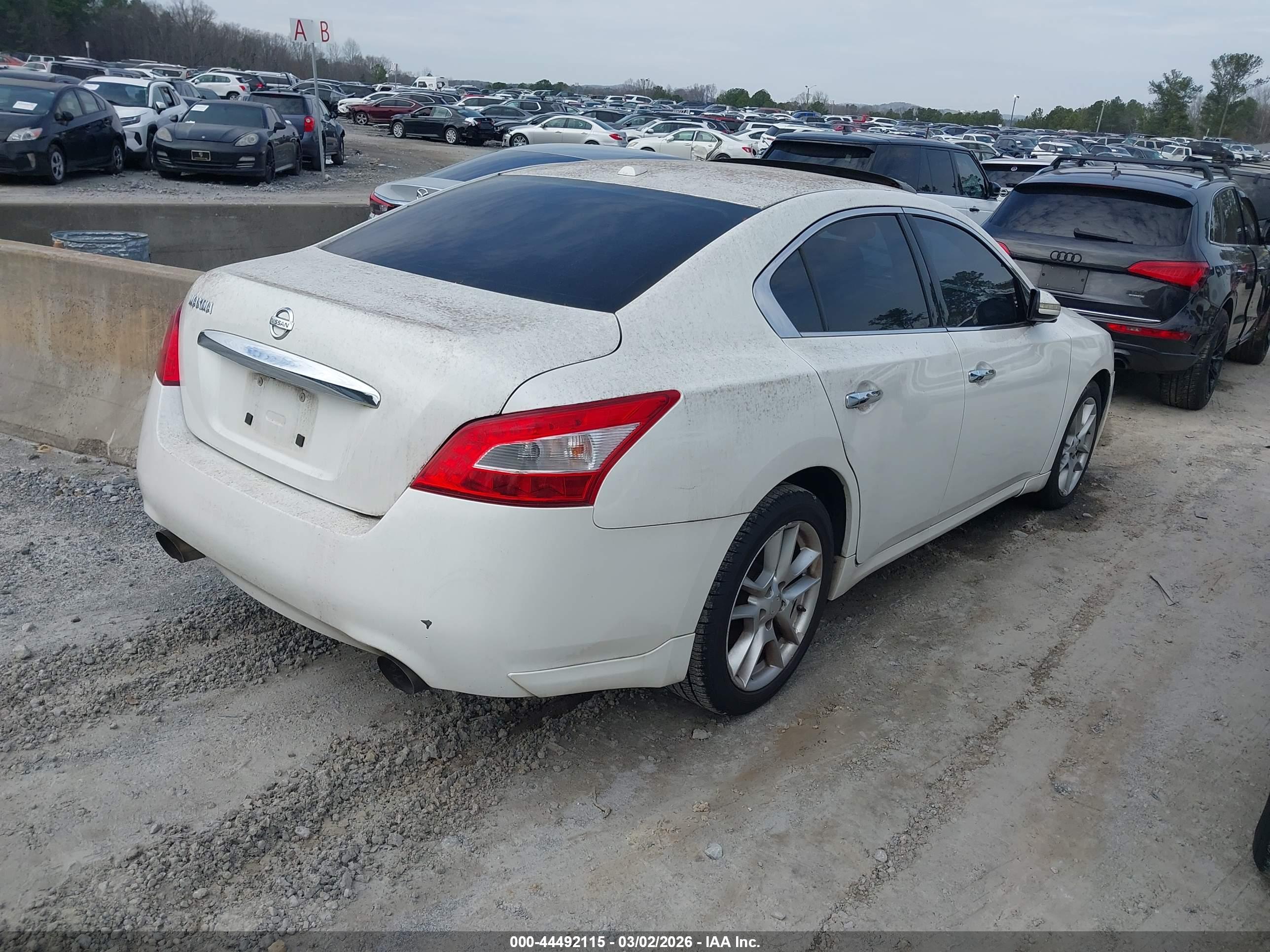 NISSAN MAXIMA image 4