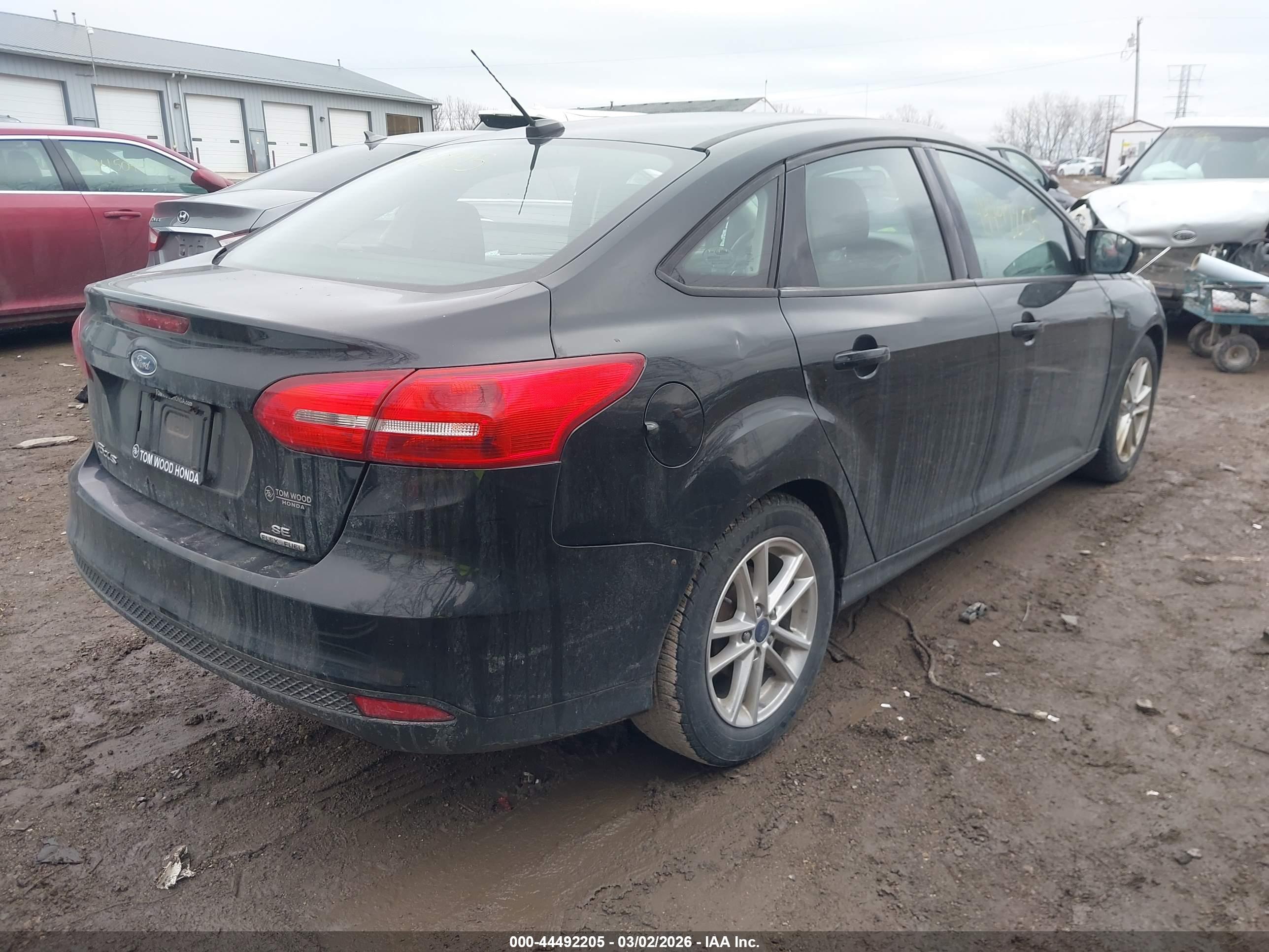 FORD FOCUS image 4