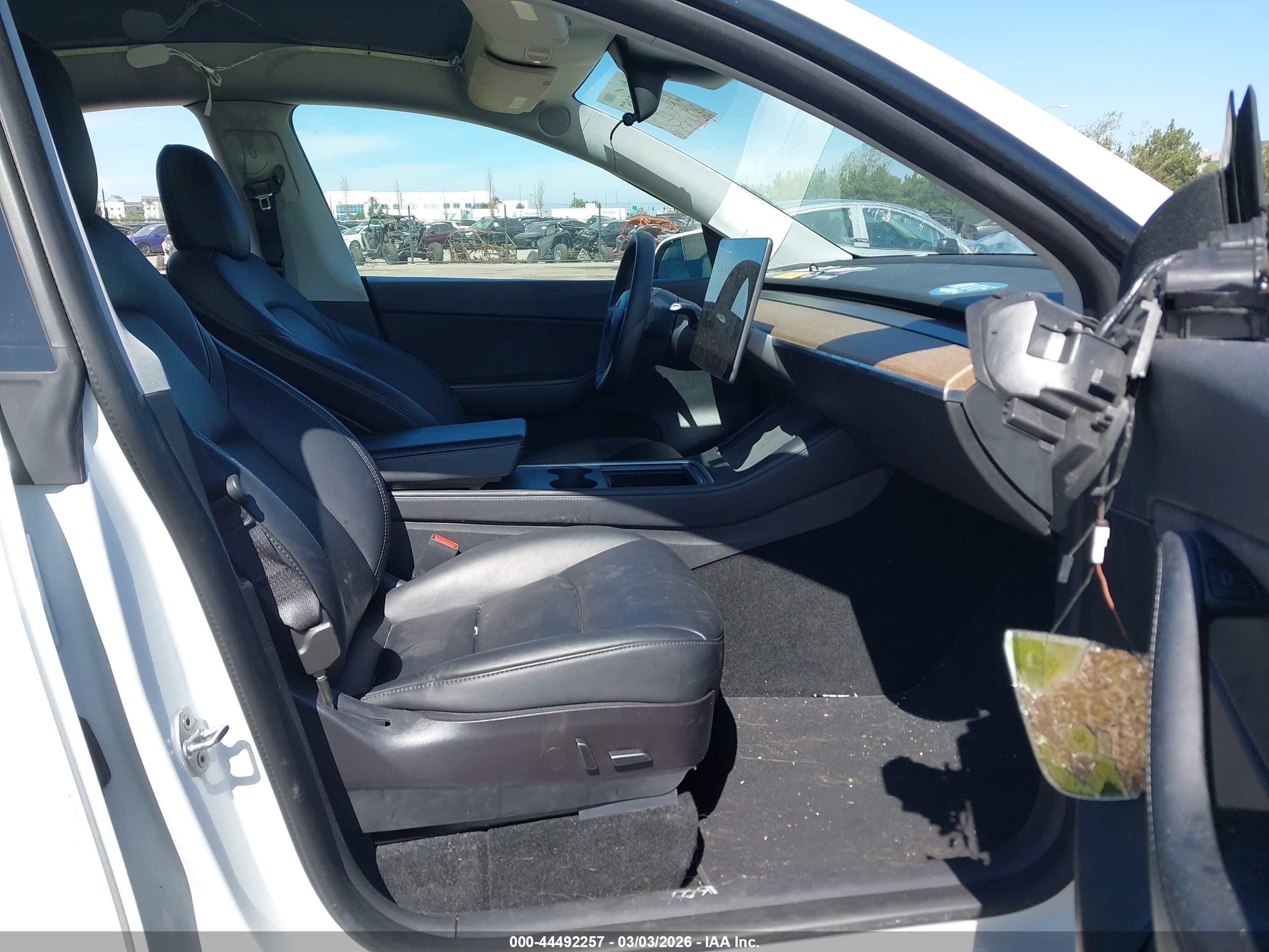 TESLA MODEL image 5
