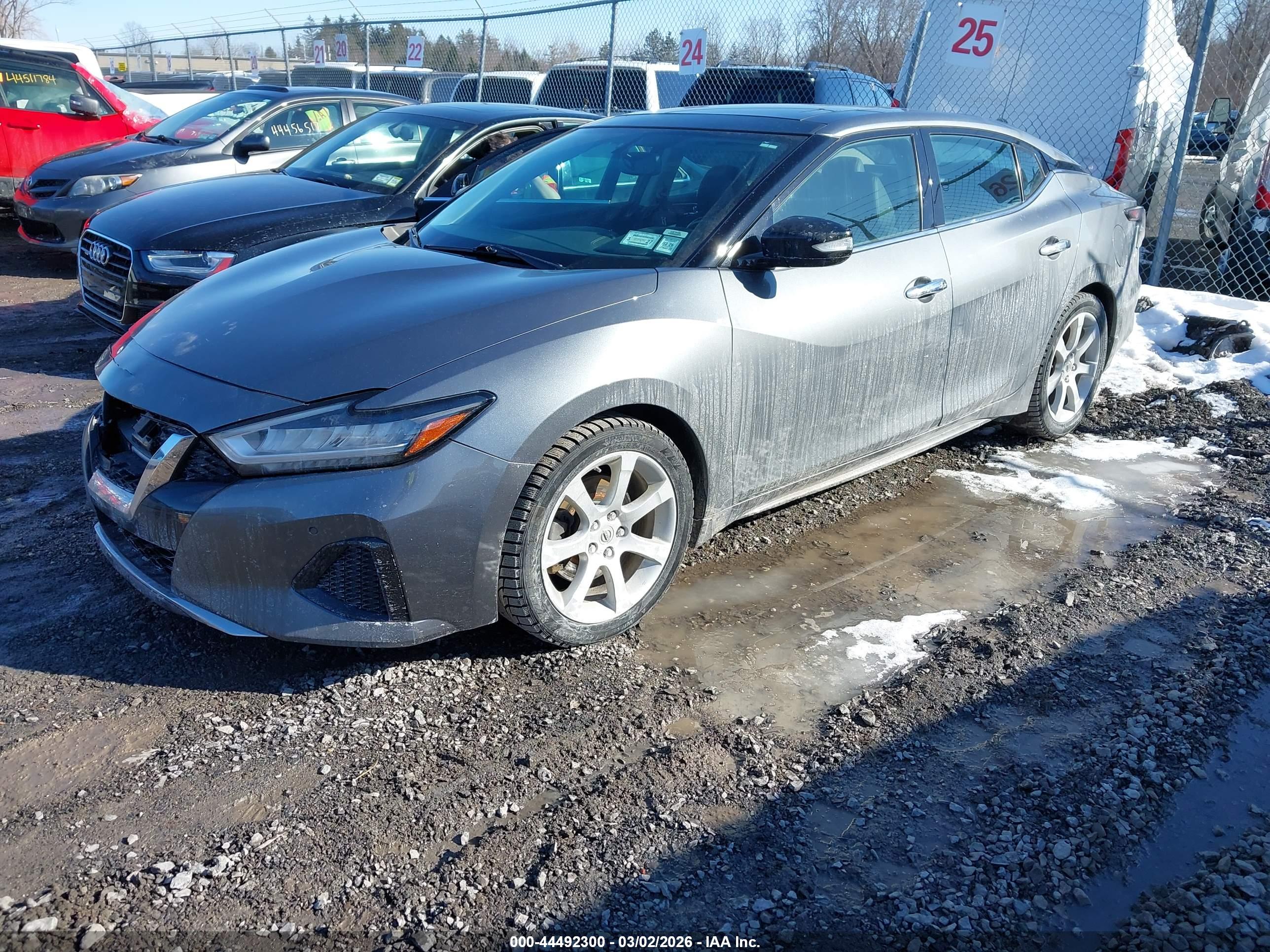 NISSAN MAXIMA image 2