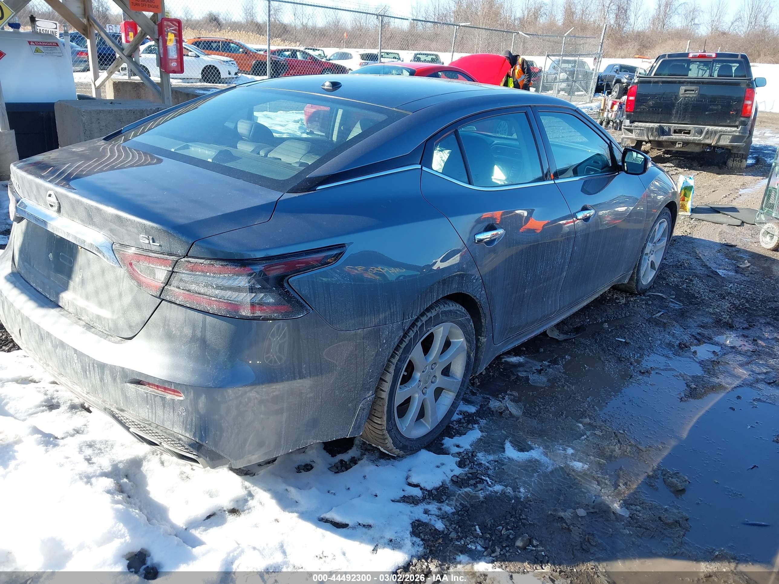 NISSAN MAXIMA image 4