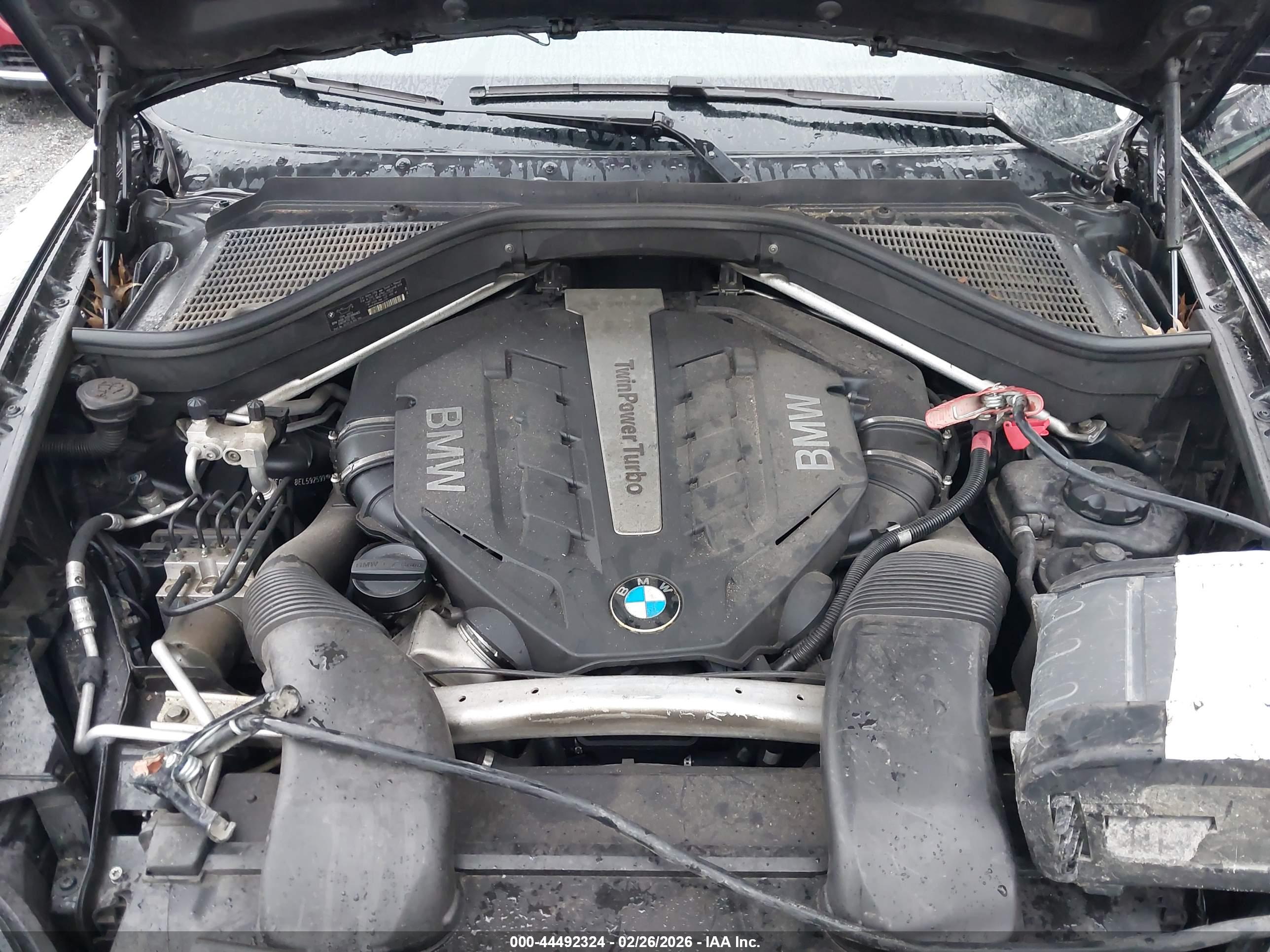 BMW X6 image 10