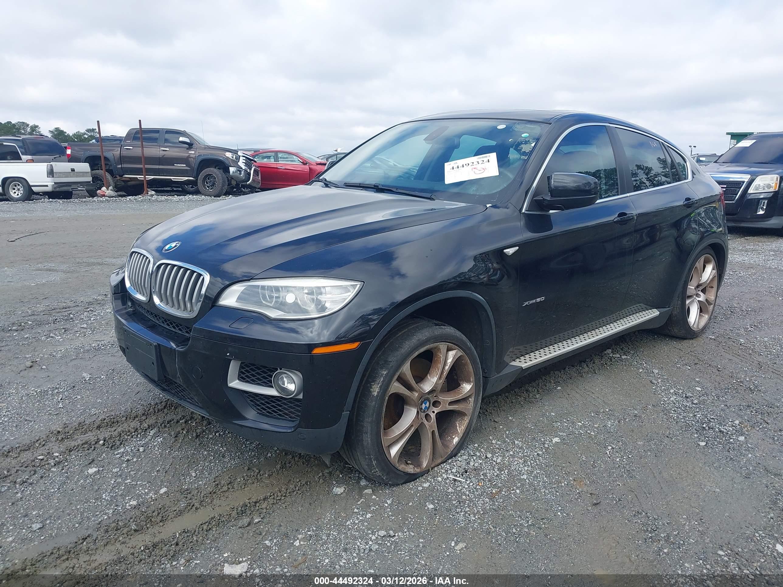 BMW X6 image 2