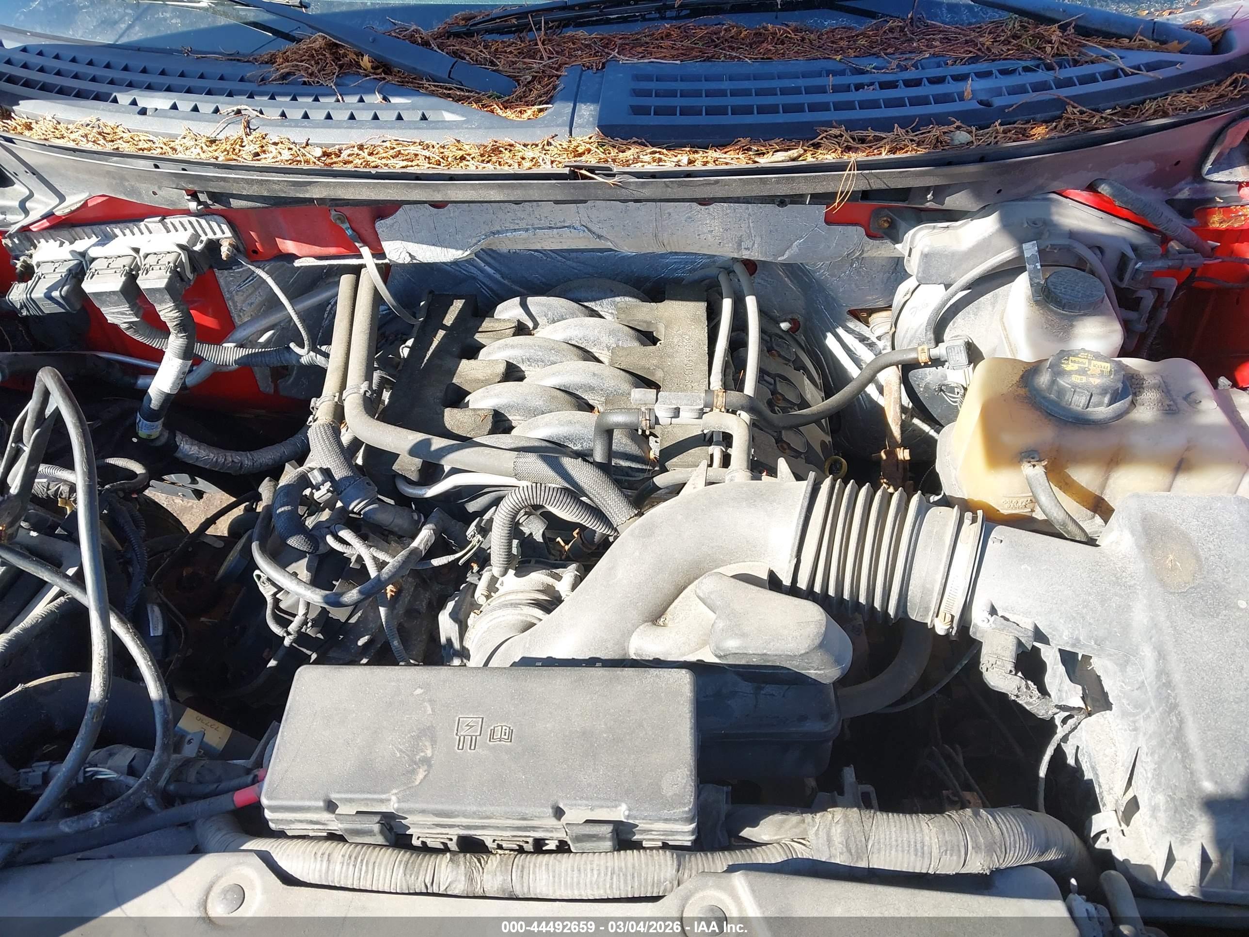 FORD F-150 image 10