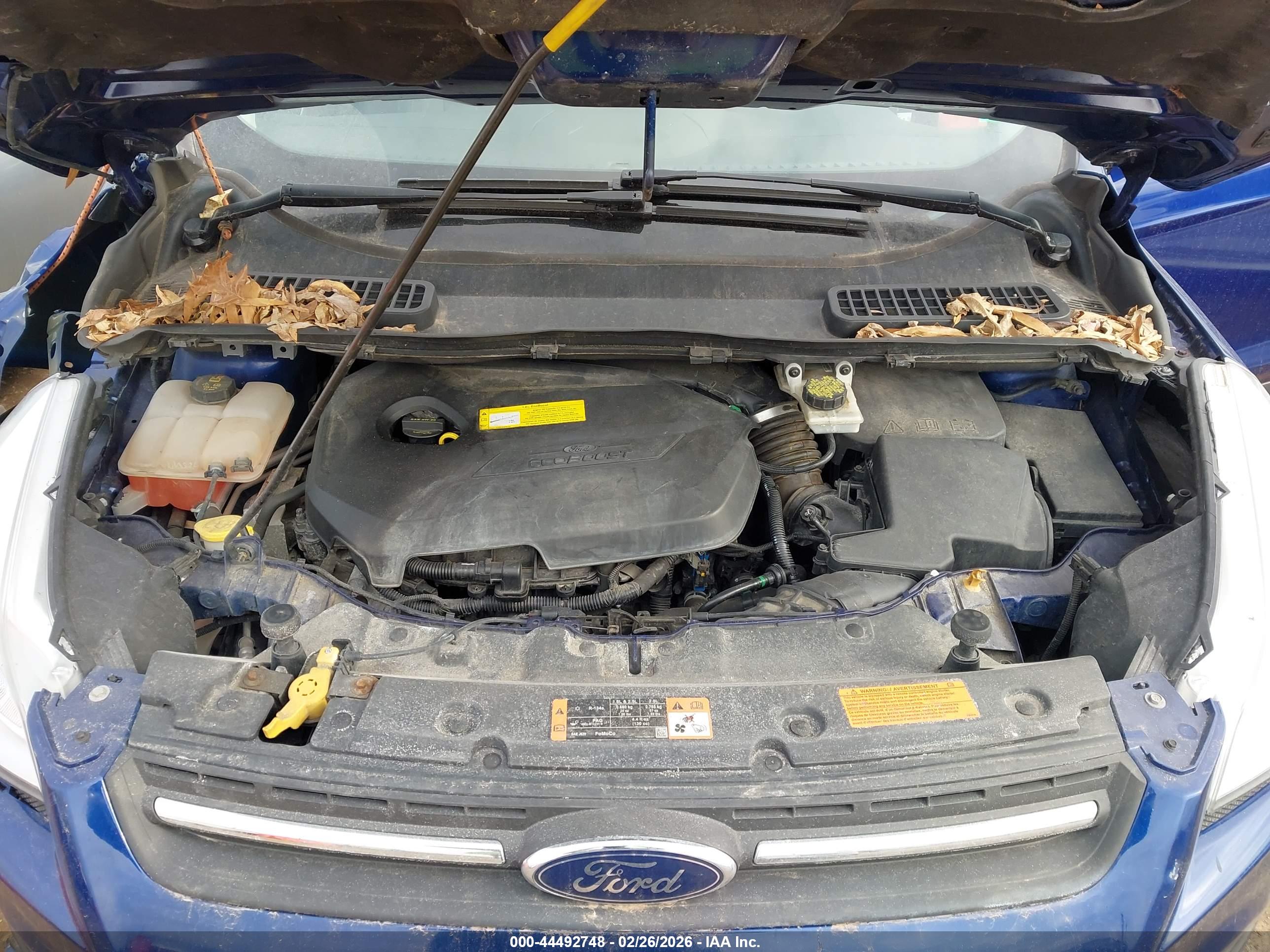 FORD ESCAPE image 10