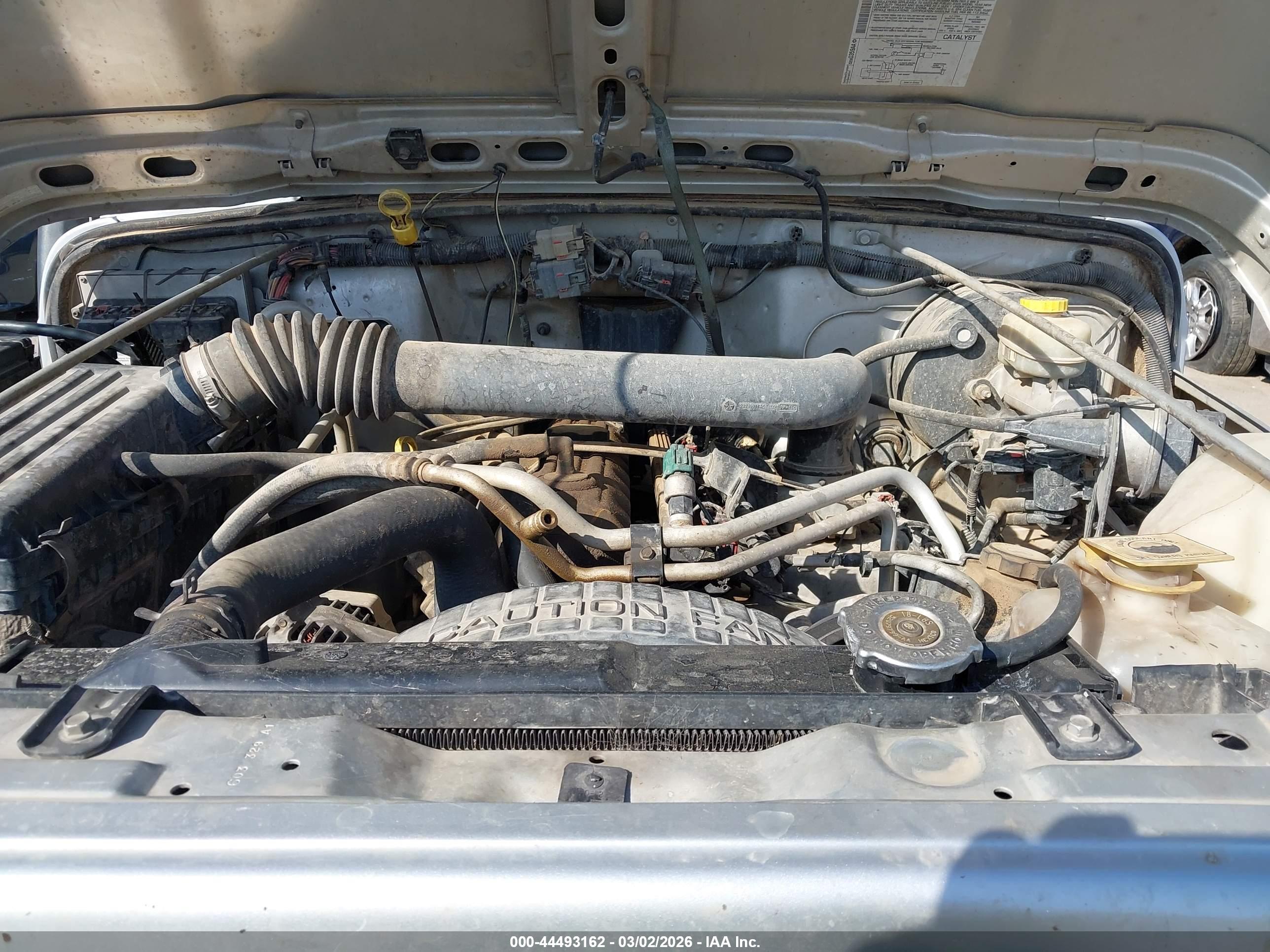 JEEP WRANGLER image 10