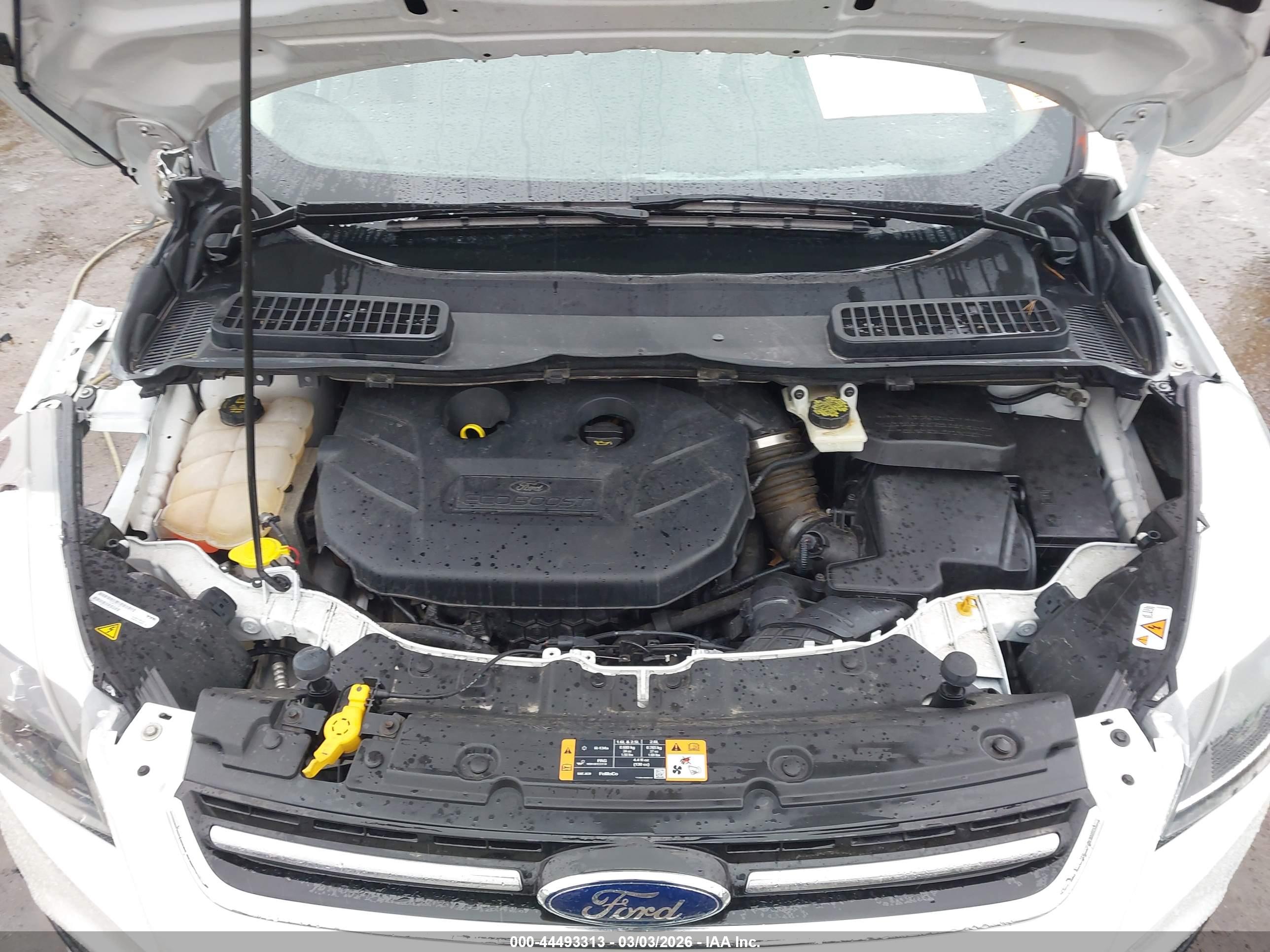 FORD ESCAPE image 10