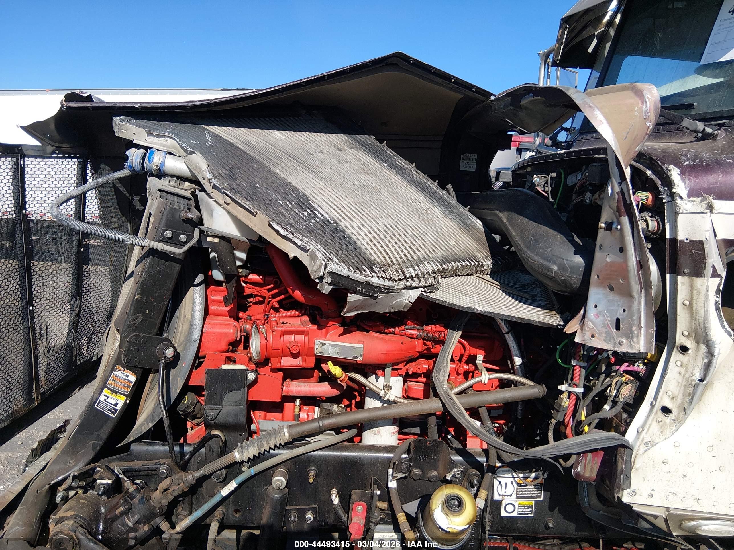 PETERBILT 389 image 10