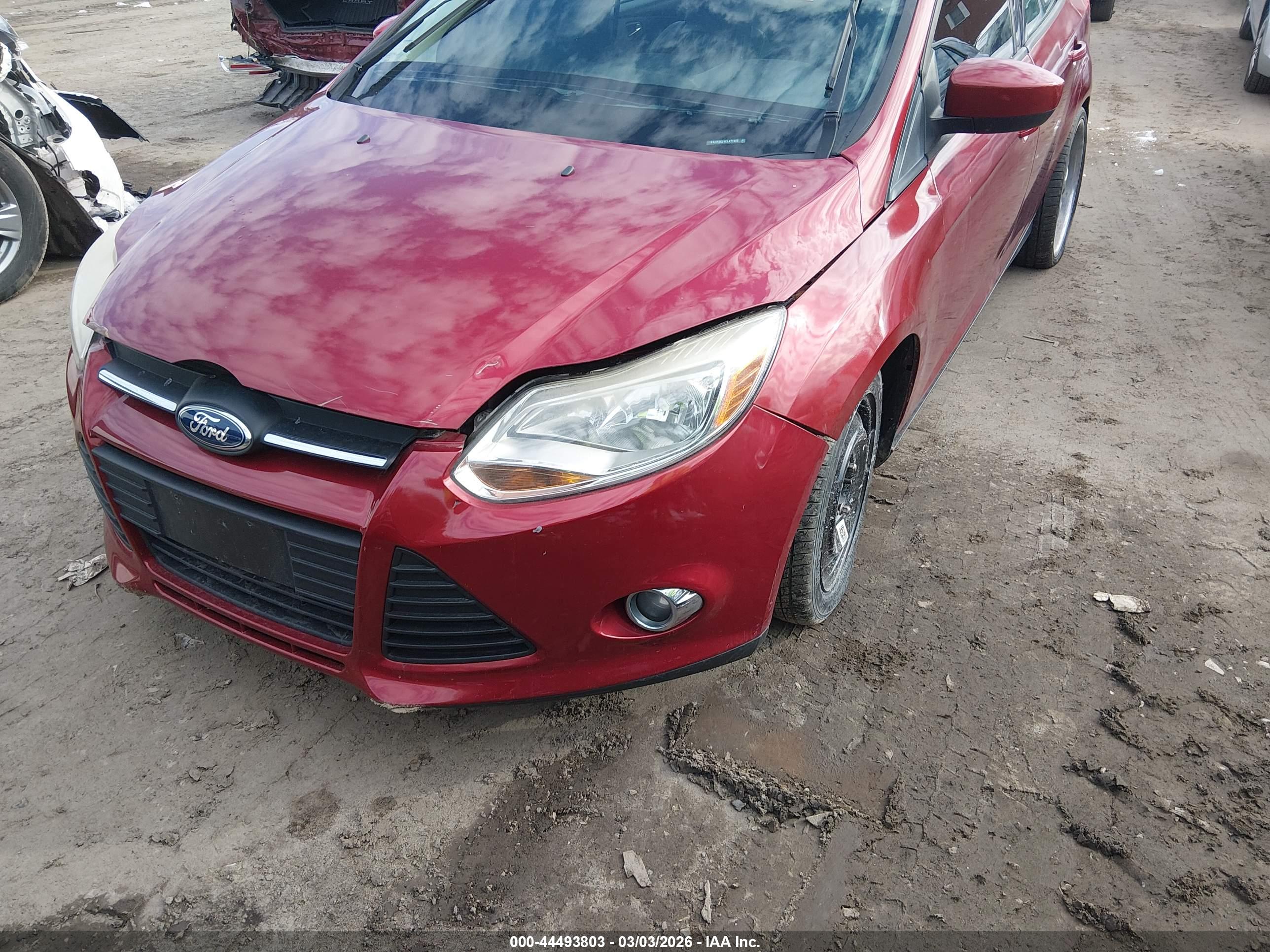 FORD FOCUS image 2