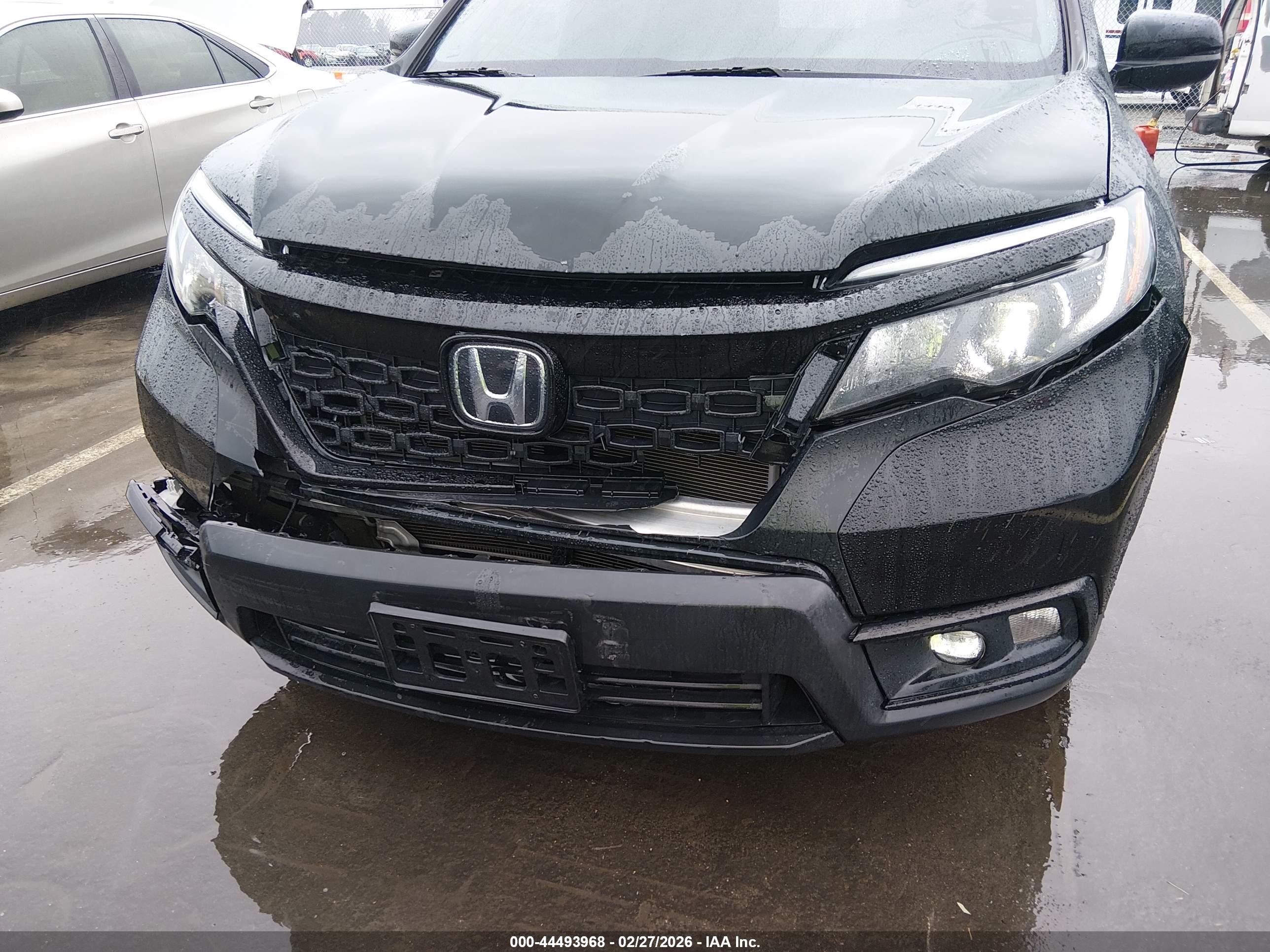 HONDA PASSPORT image 6