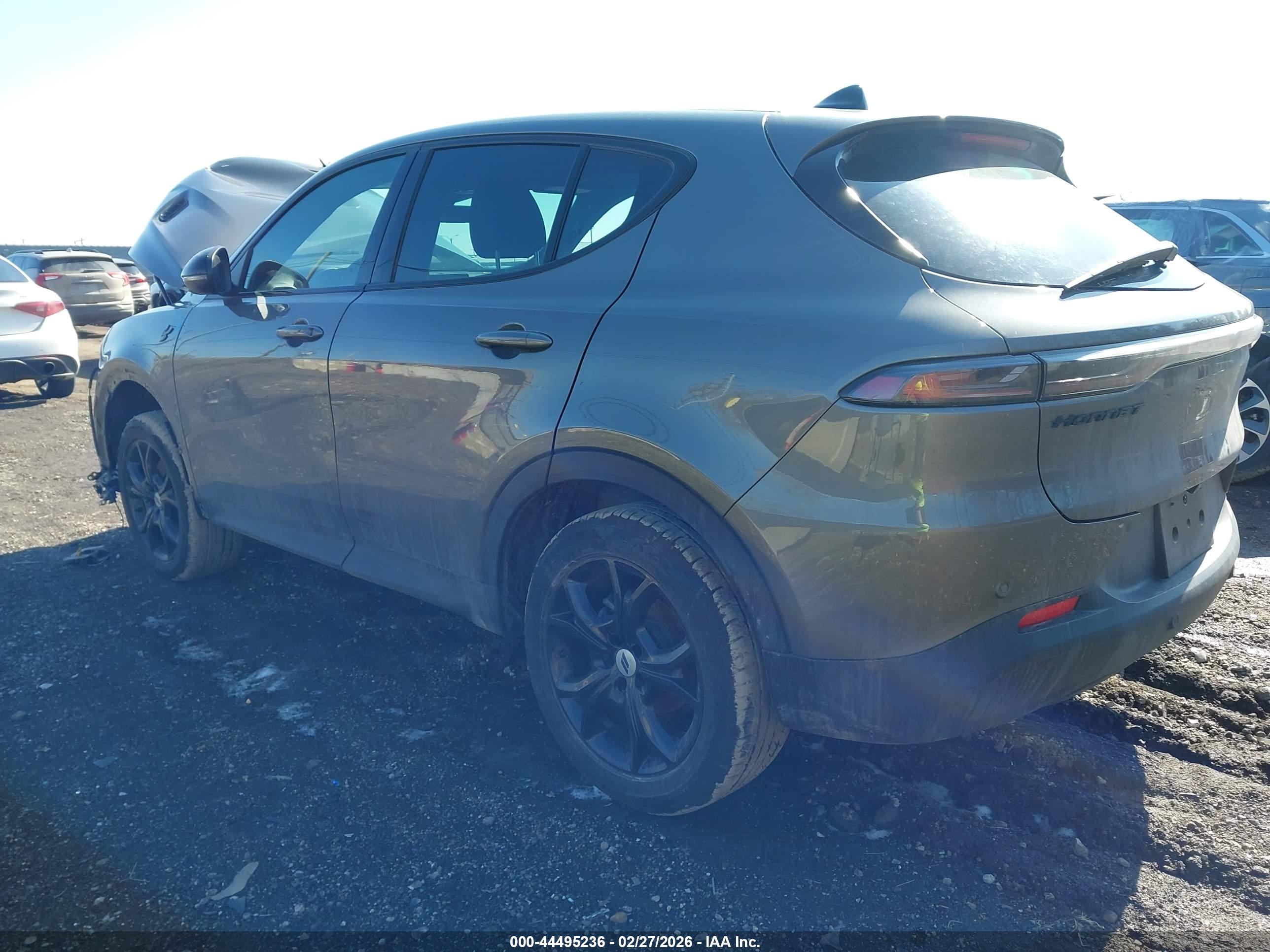 DODGE HORNET image 3