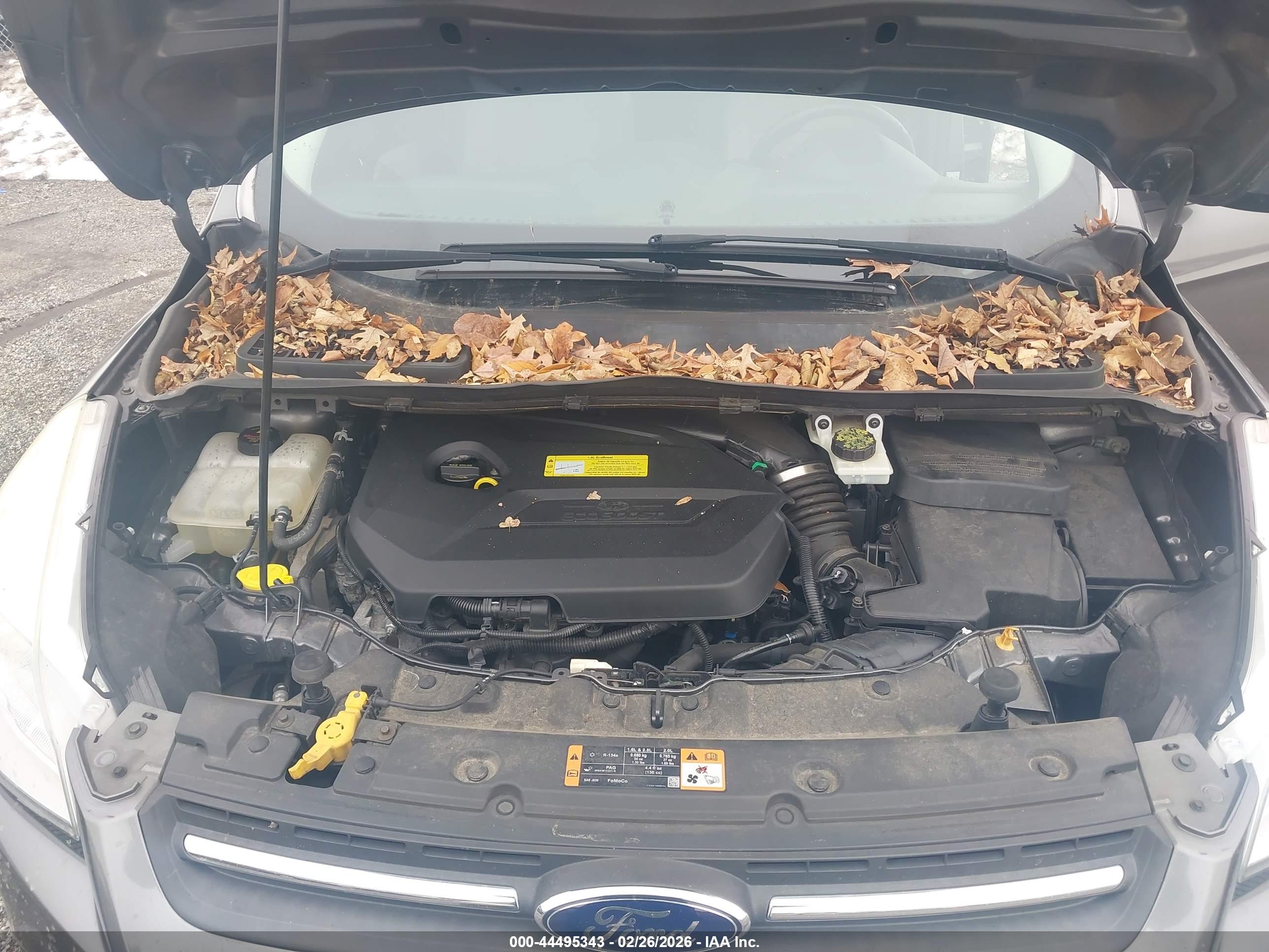 FORD ESCAPE image 10